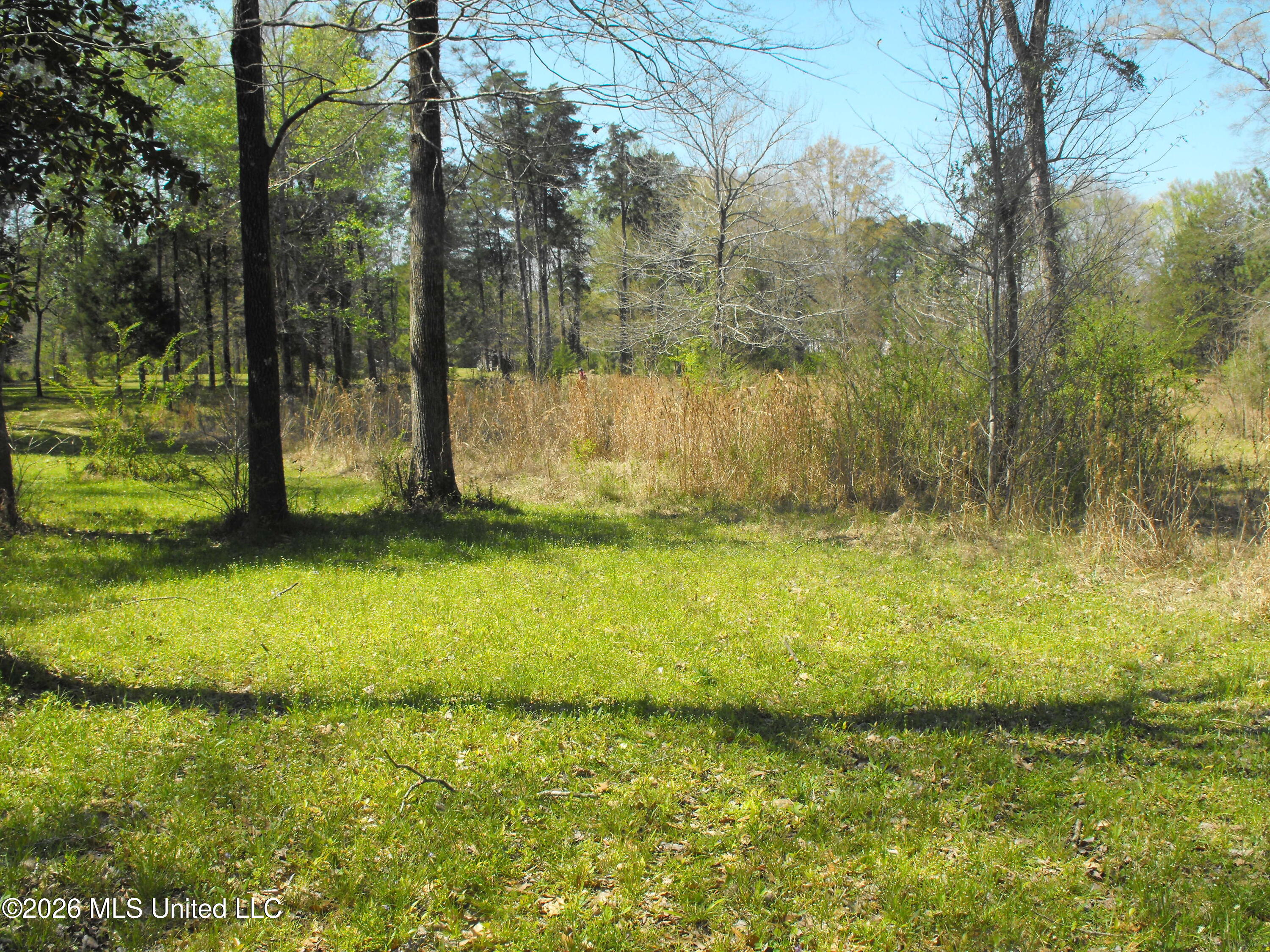 000 Berry Drive Property Photo 1