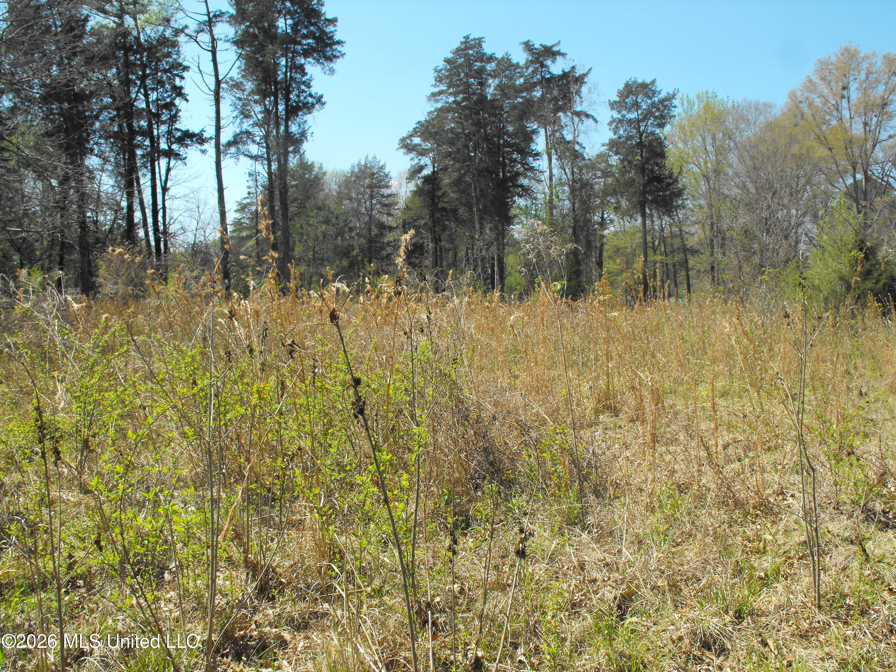 000 Berry Drive Property Photo 2