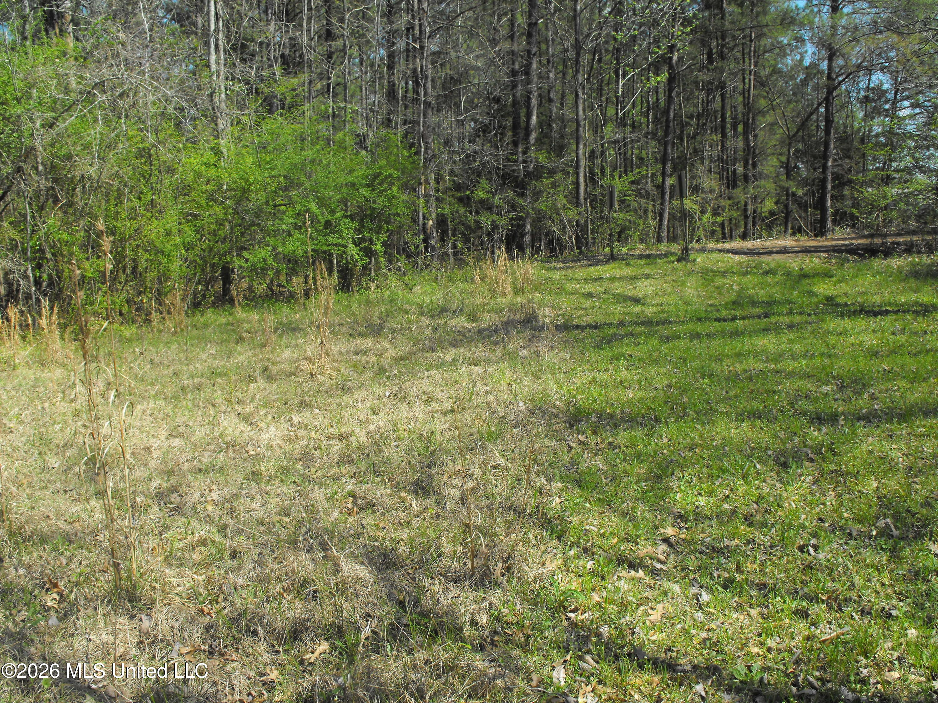 000 Berry Drive Property Photo 6