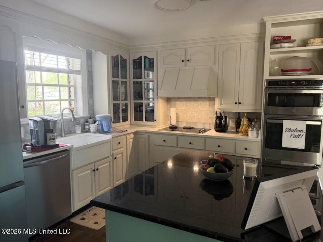 807 Del Sud Drive Property Photo 22
