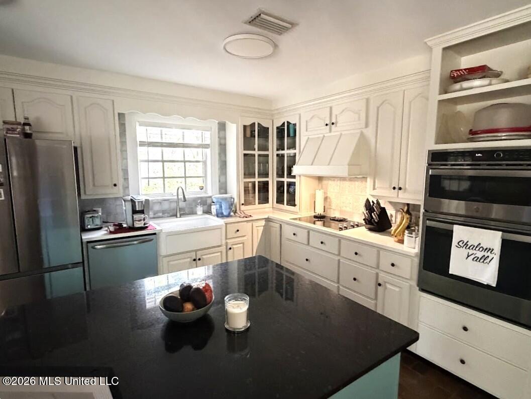 807 Del Sud Drive Property Photo 24