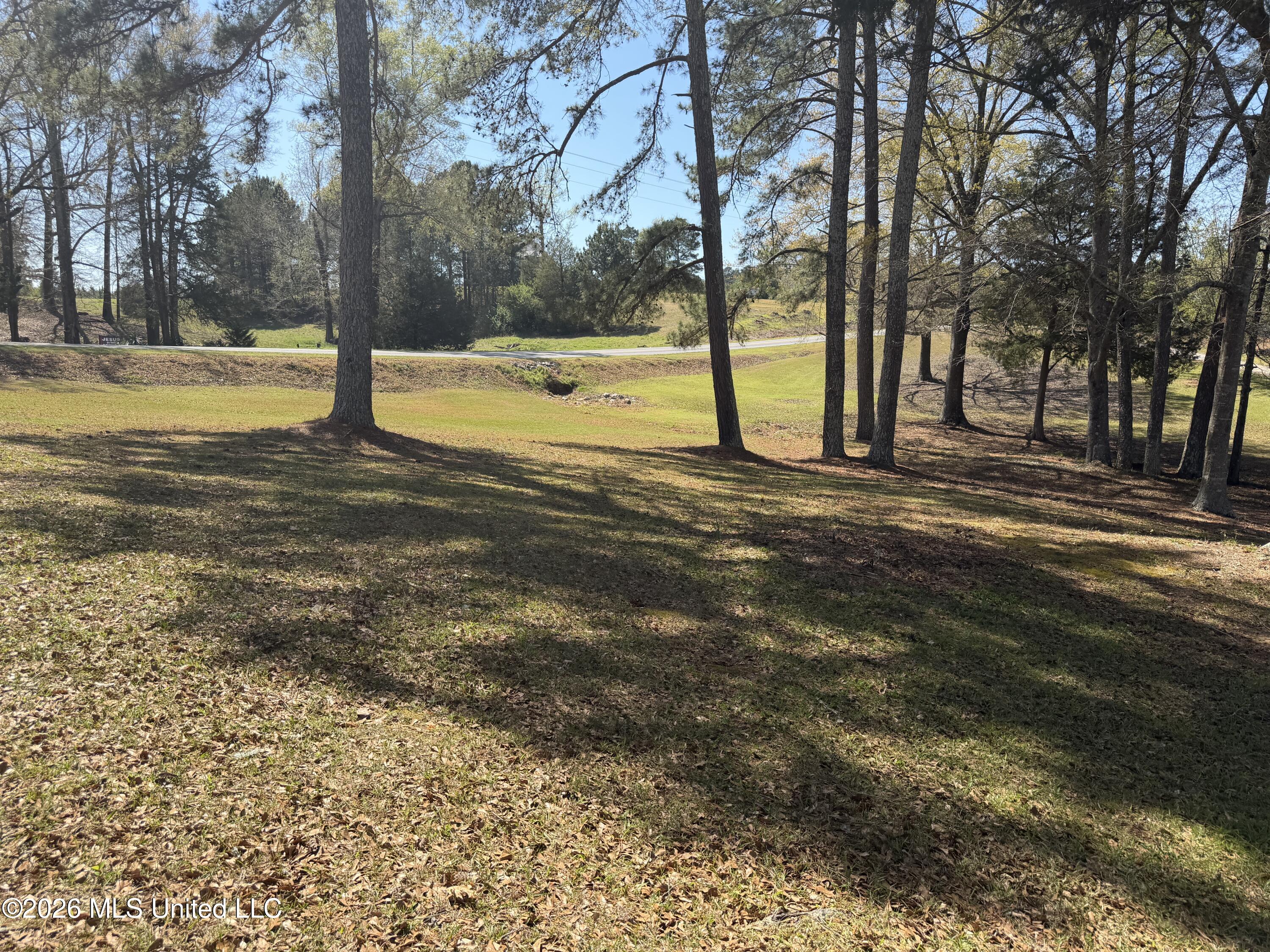 3253 Highway 488 Property Photo 17
