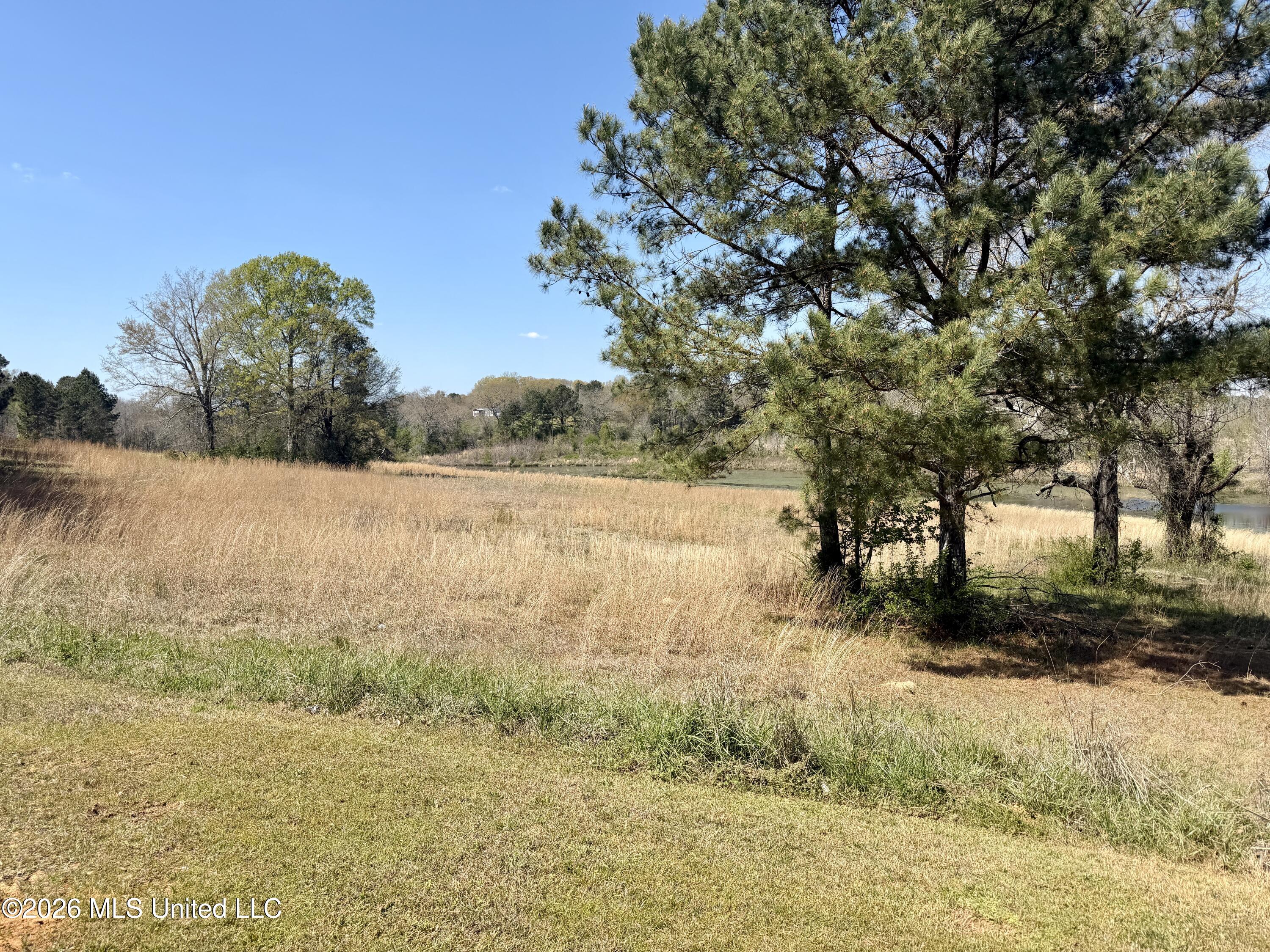 3253 Highway 488 Property Photo 31