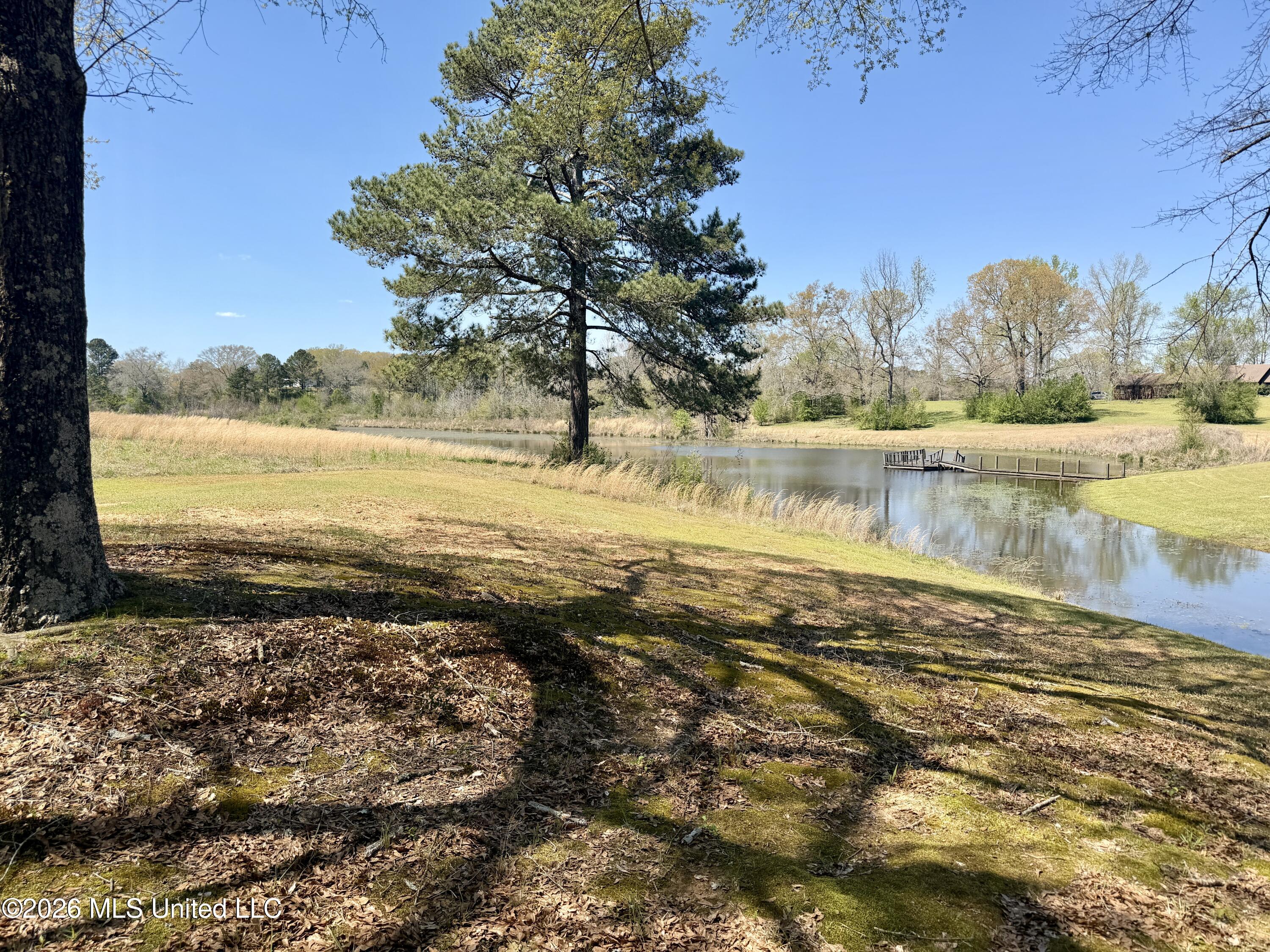 3253 Highway 488 Property Photo 33