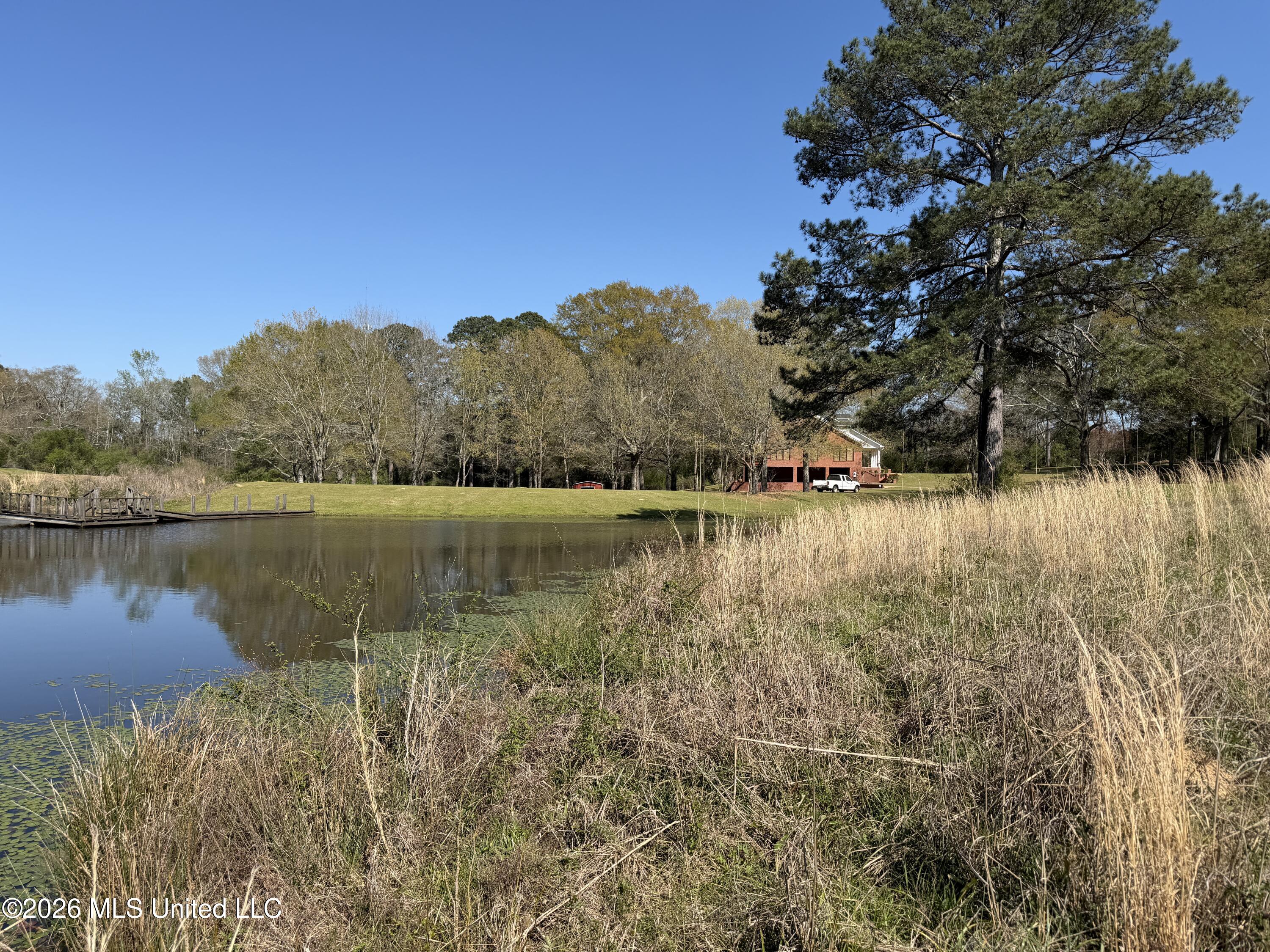 3253 Highway 488 Property Photo 104