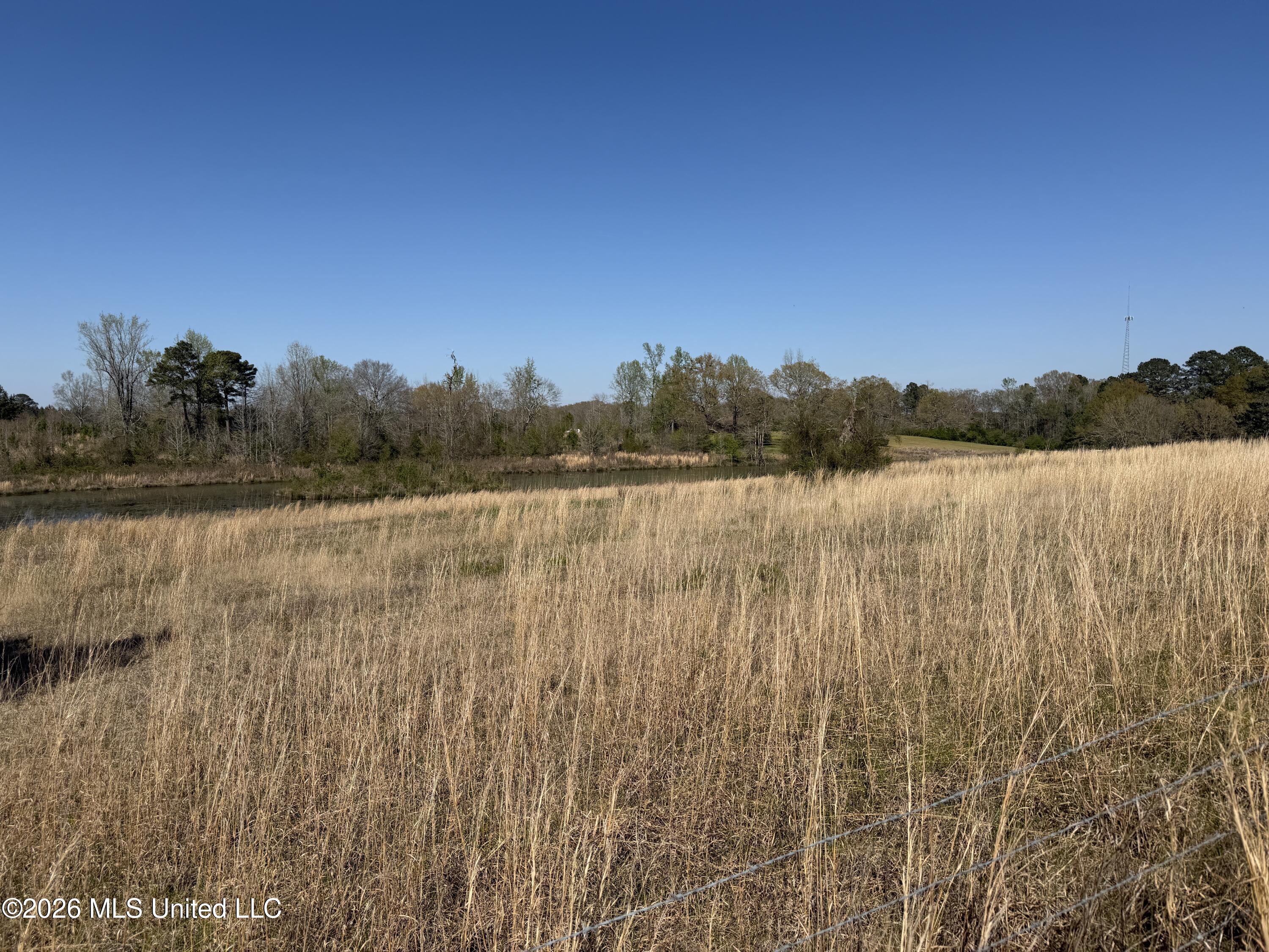 3253 Highway 488 Property Photo 105