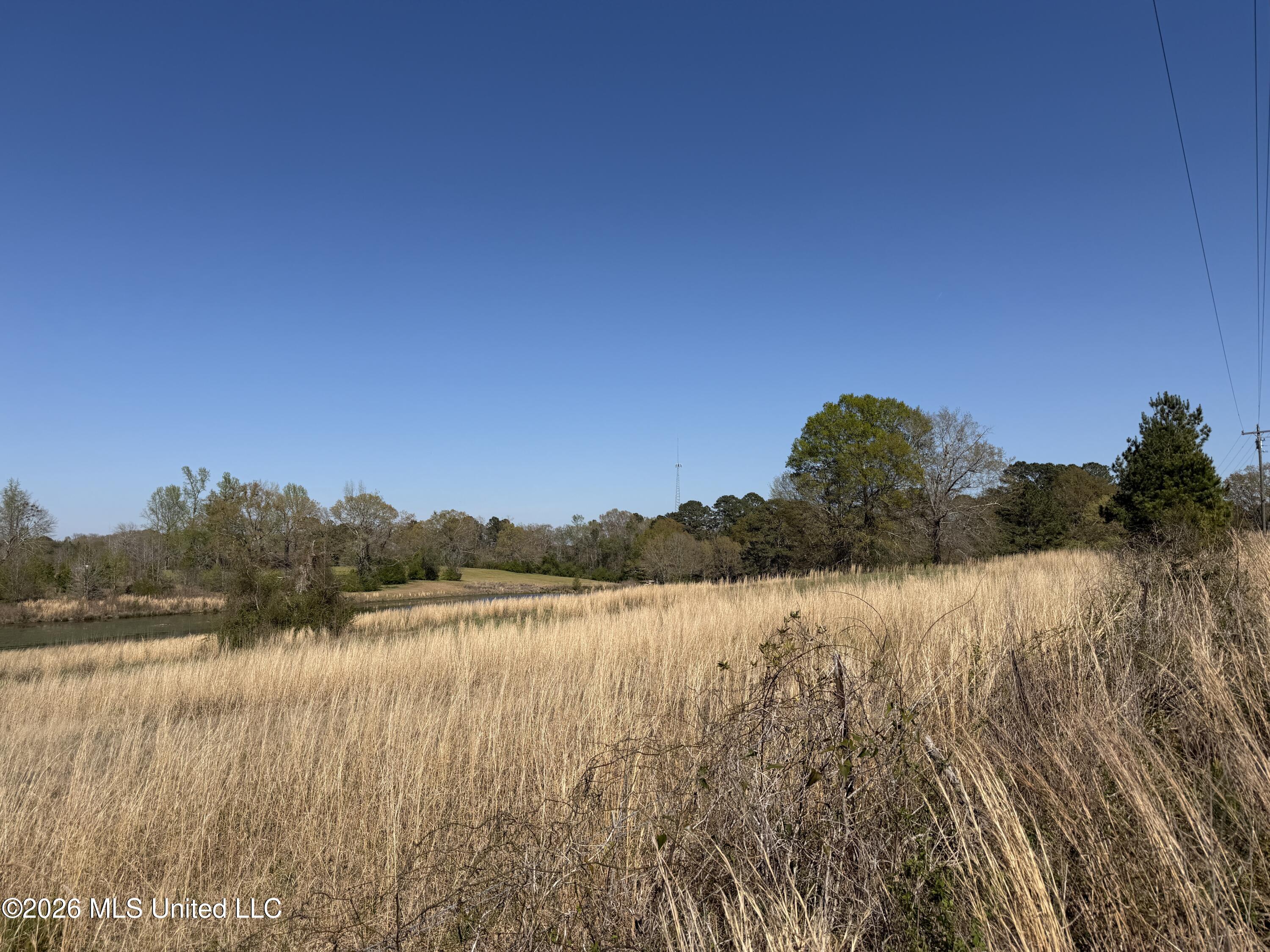 3253 Highway 488 Property Photo 106