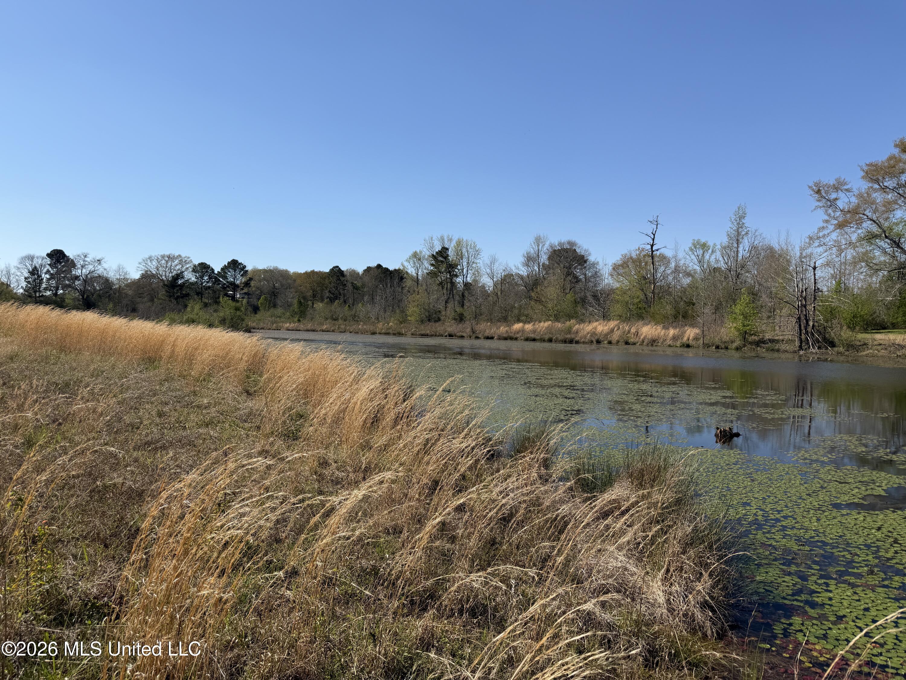 3253 Highway 488 Property Photo 108