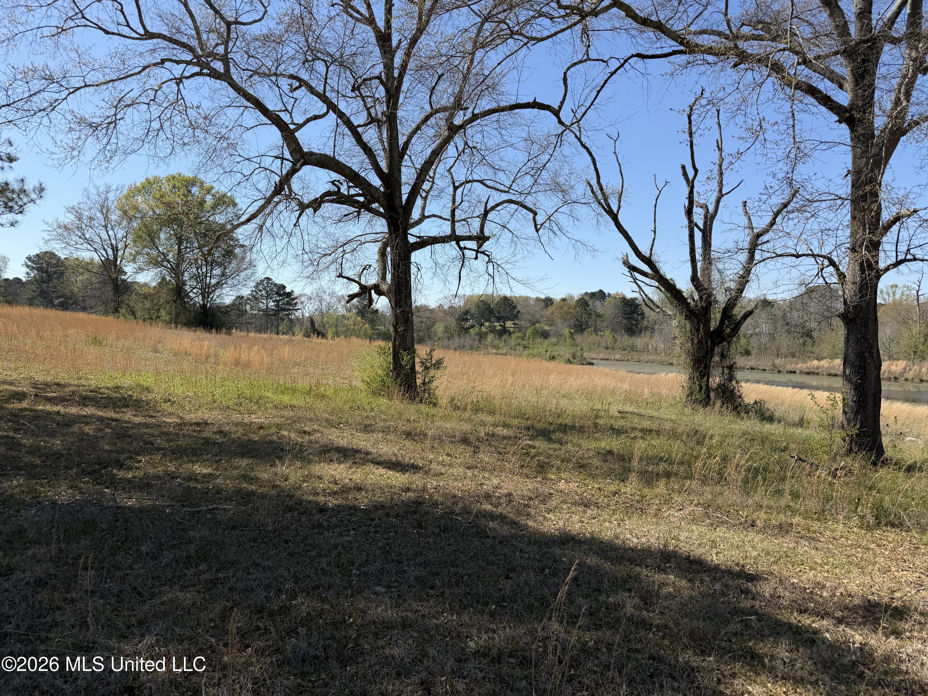 3253 Highway 488 Property Photo 109