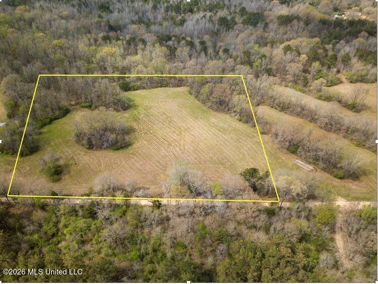 Simpson Road Property Photo 4