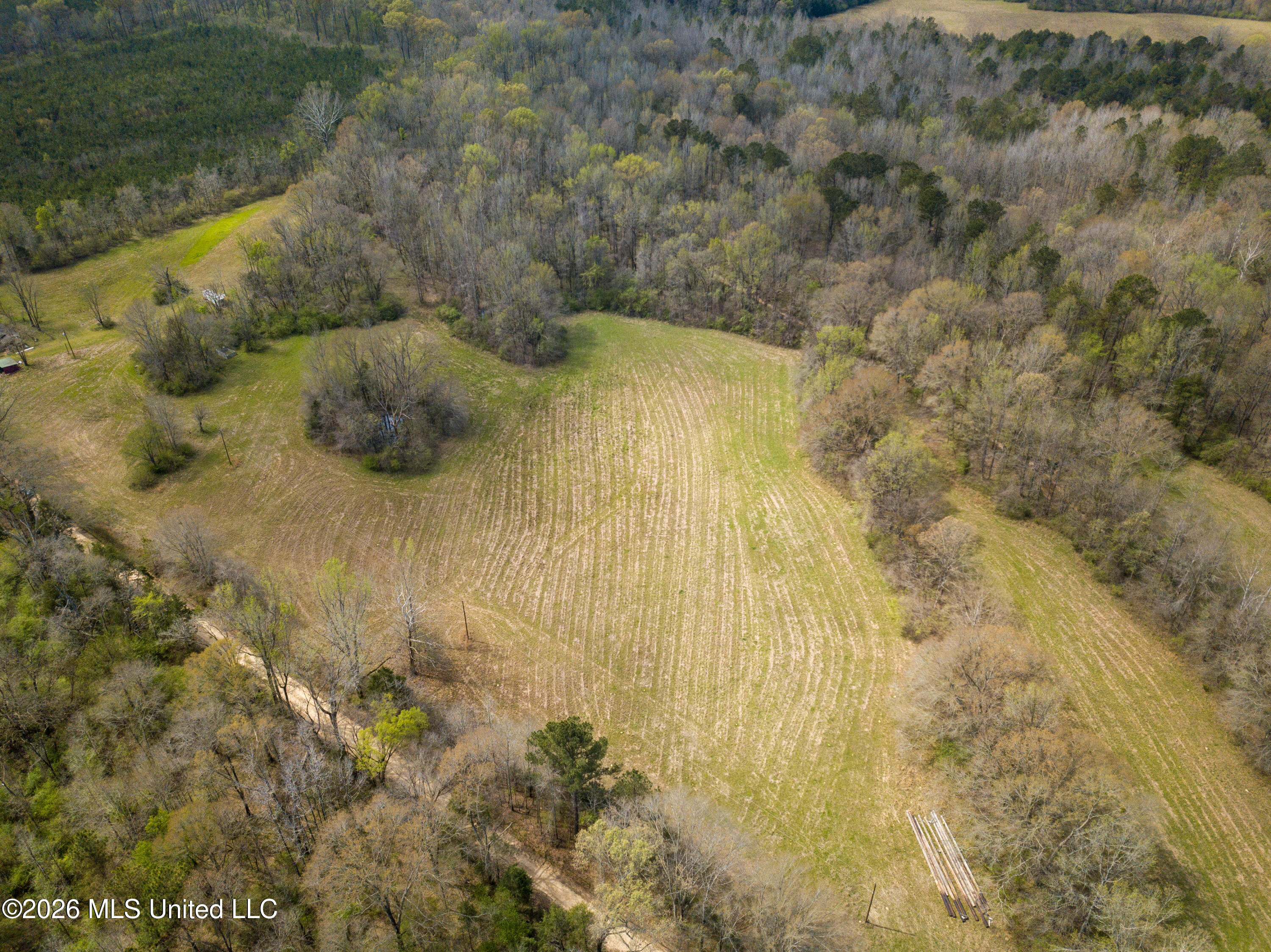Simpson Road Property Photo 5