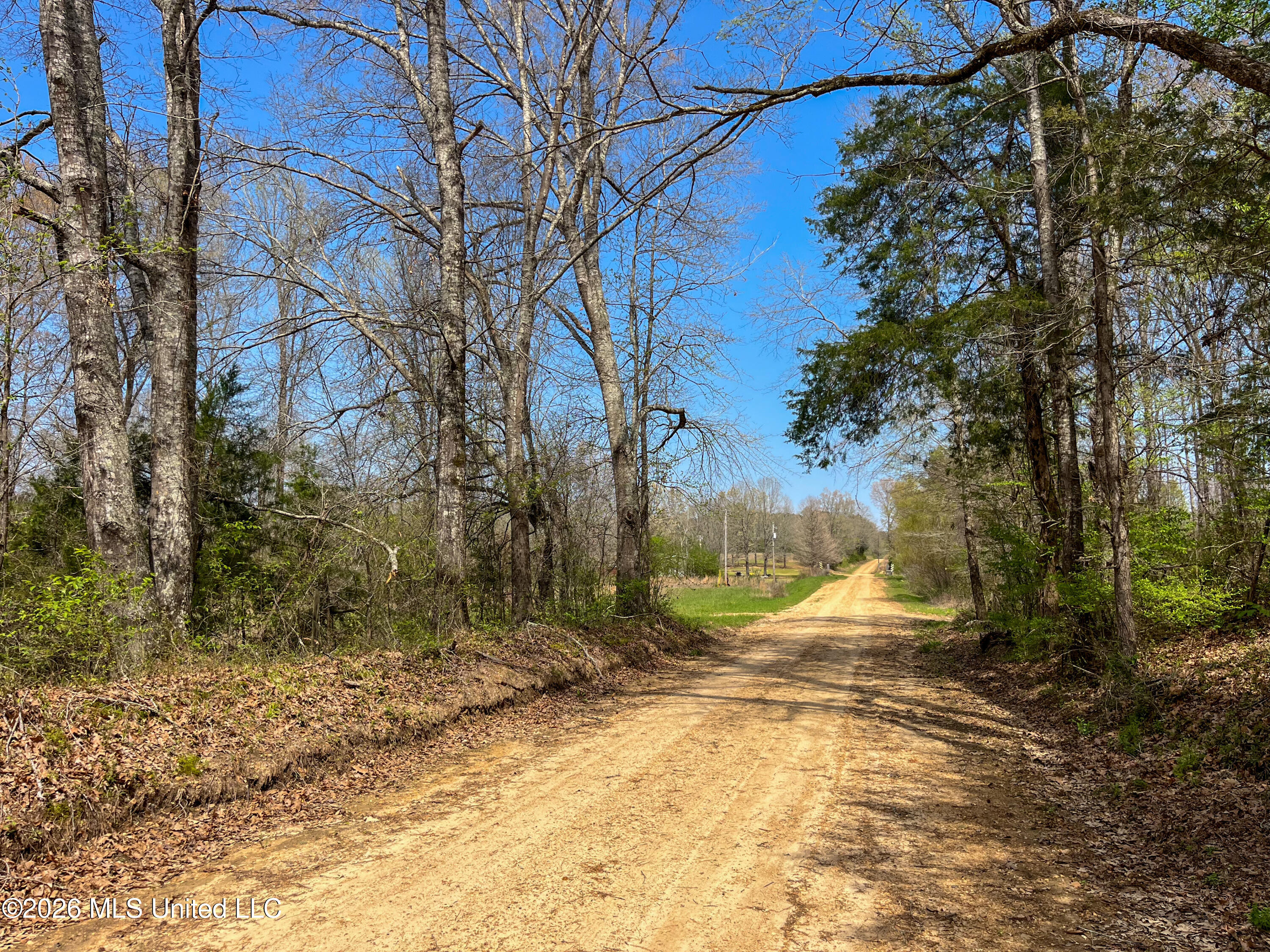 Simpson Road Property Photo 7