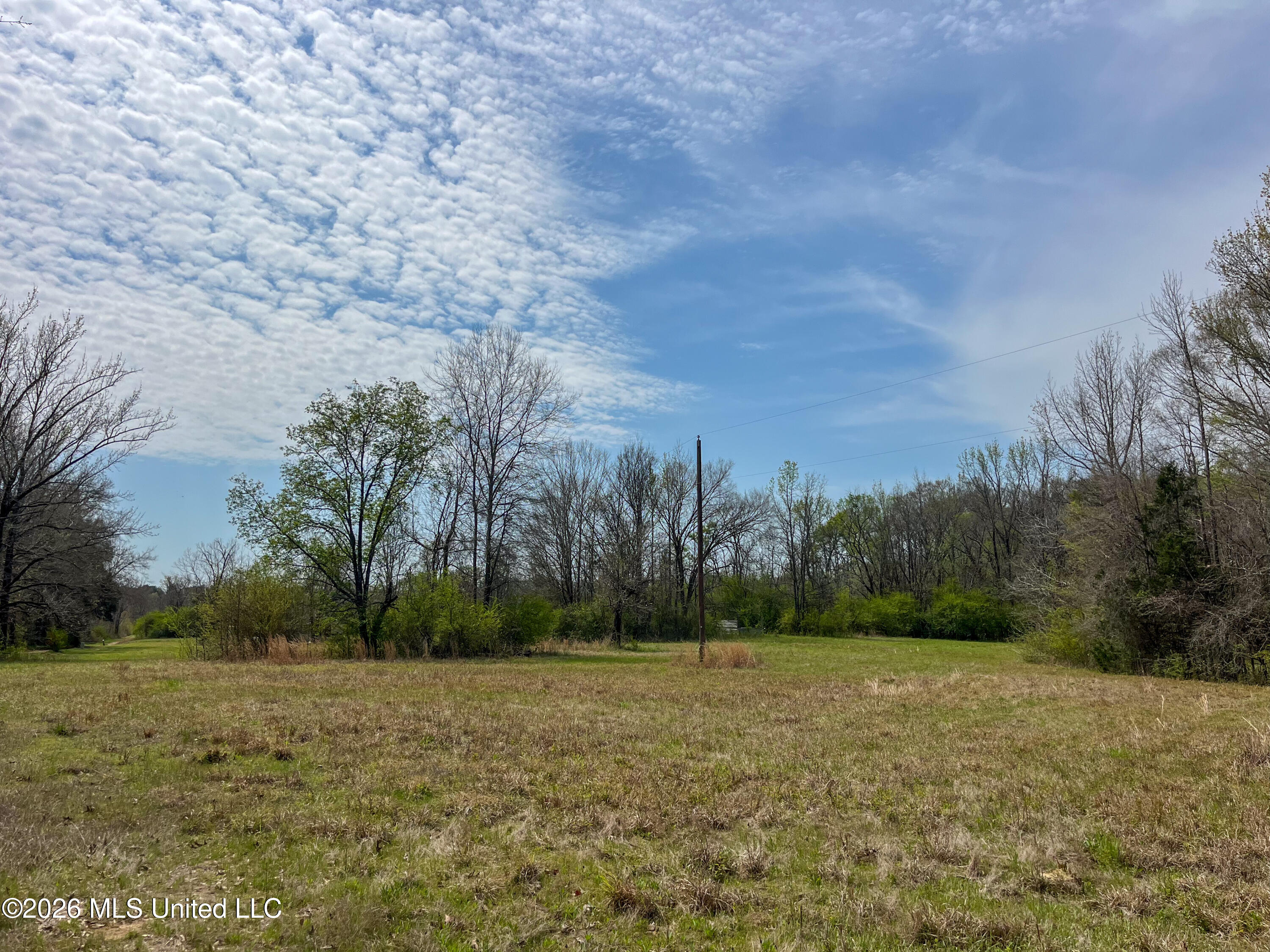 Simpson Road Property Photo 10