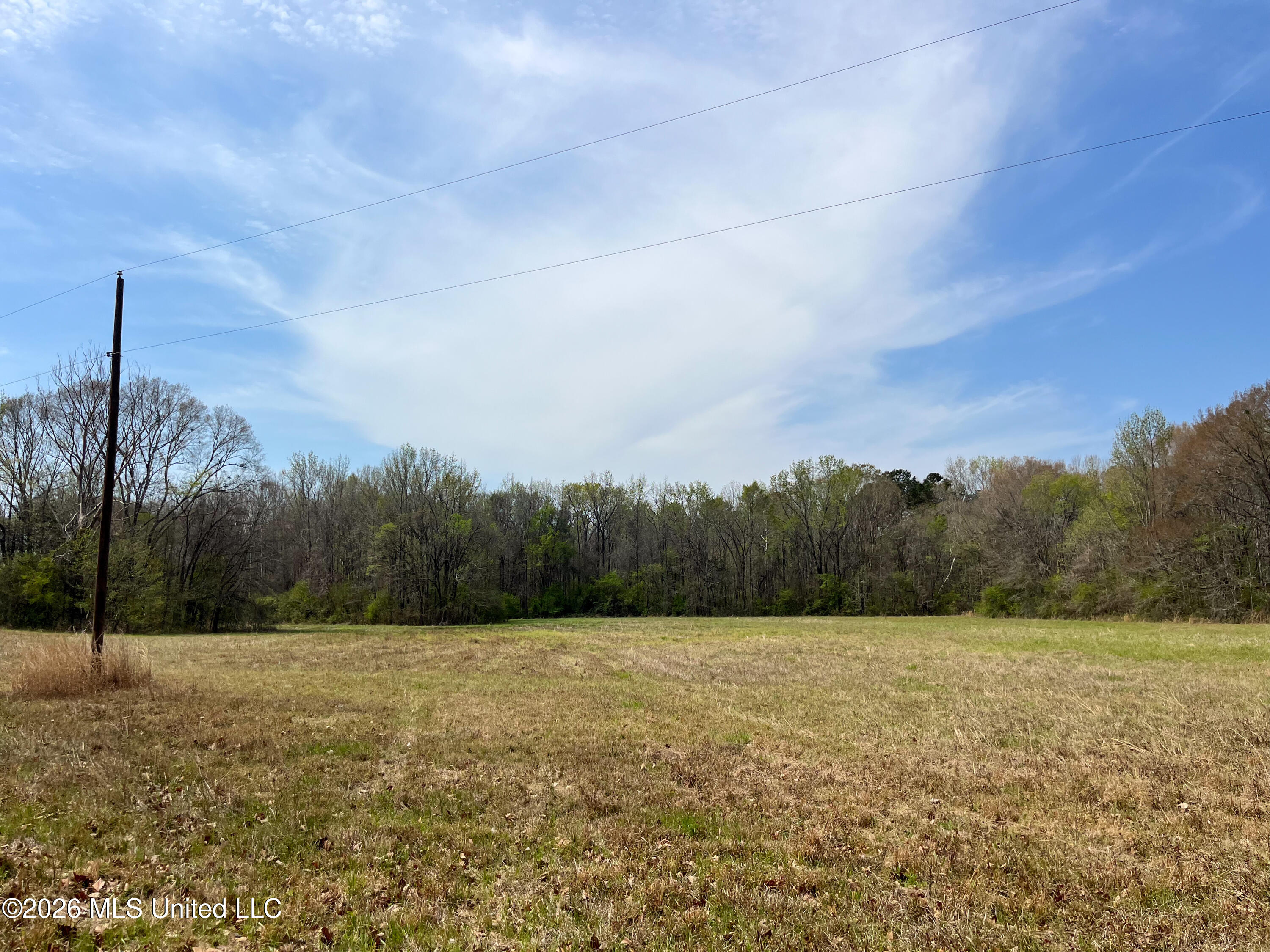 Simpson Road Property Photo 11
