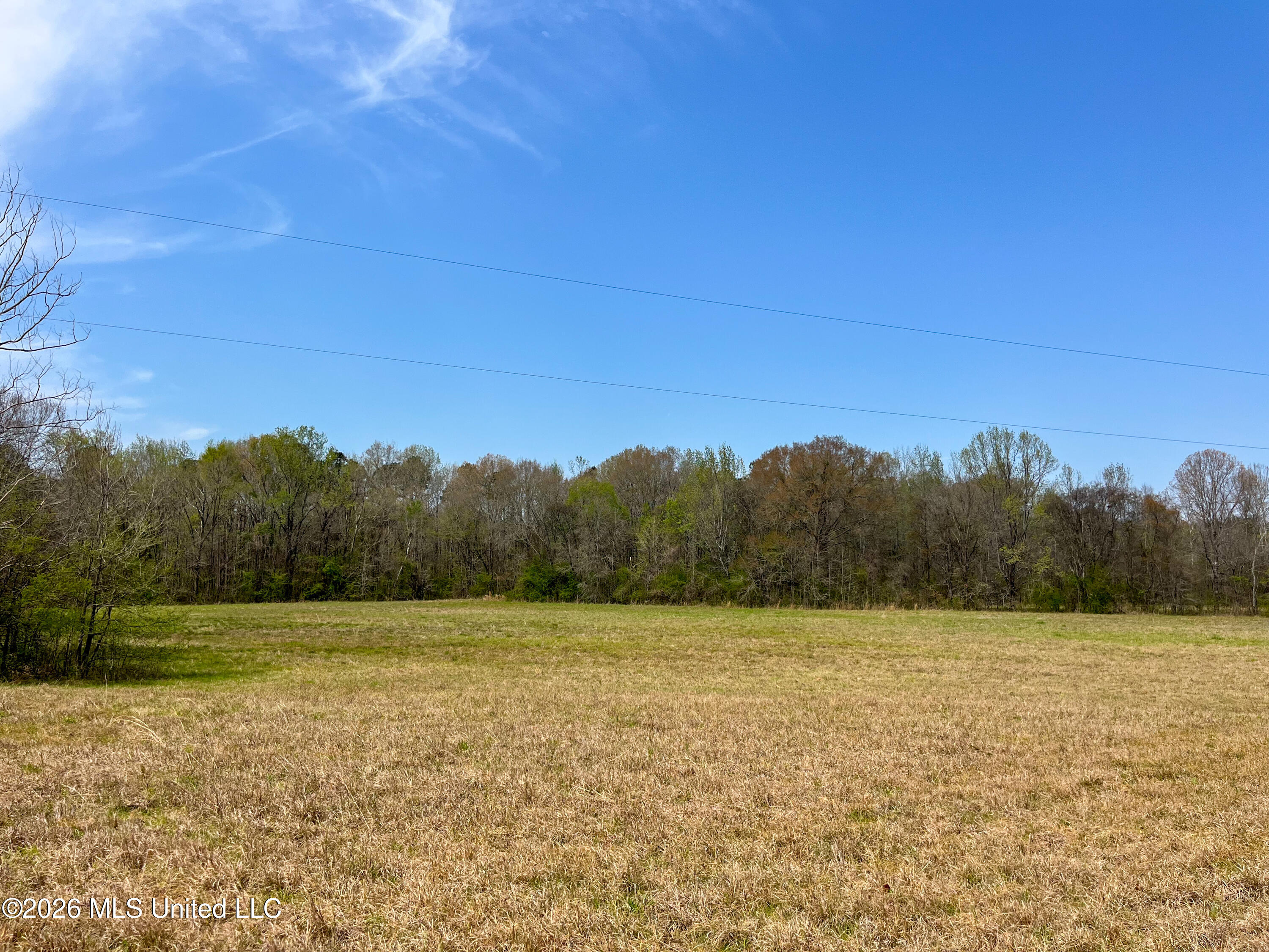 Simpson Road Property Photo 13