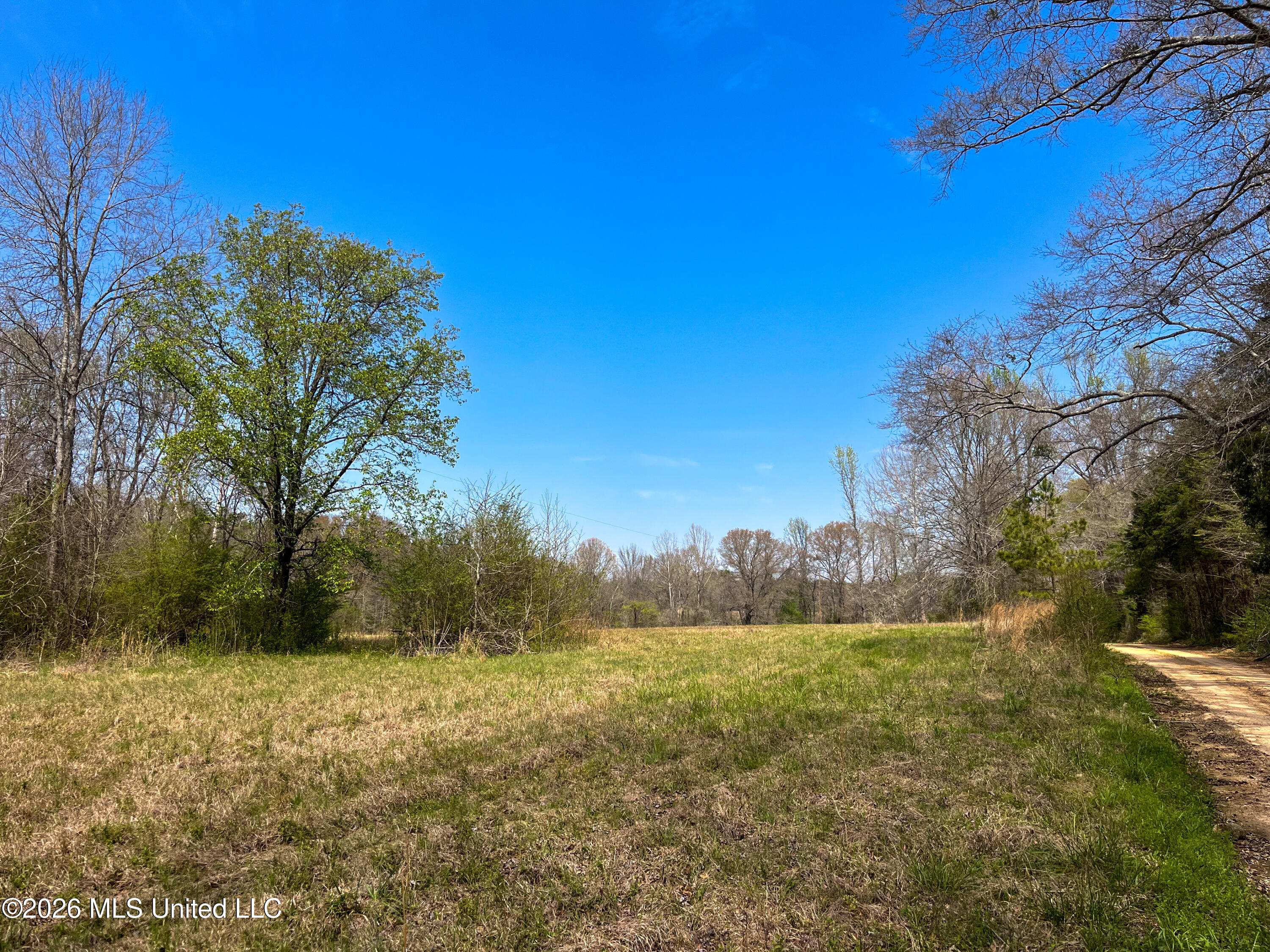 Simpson Road Property Photo 16