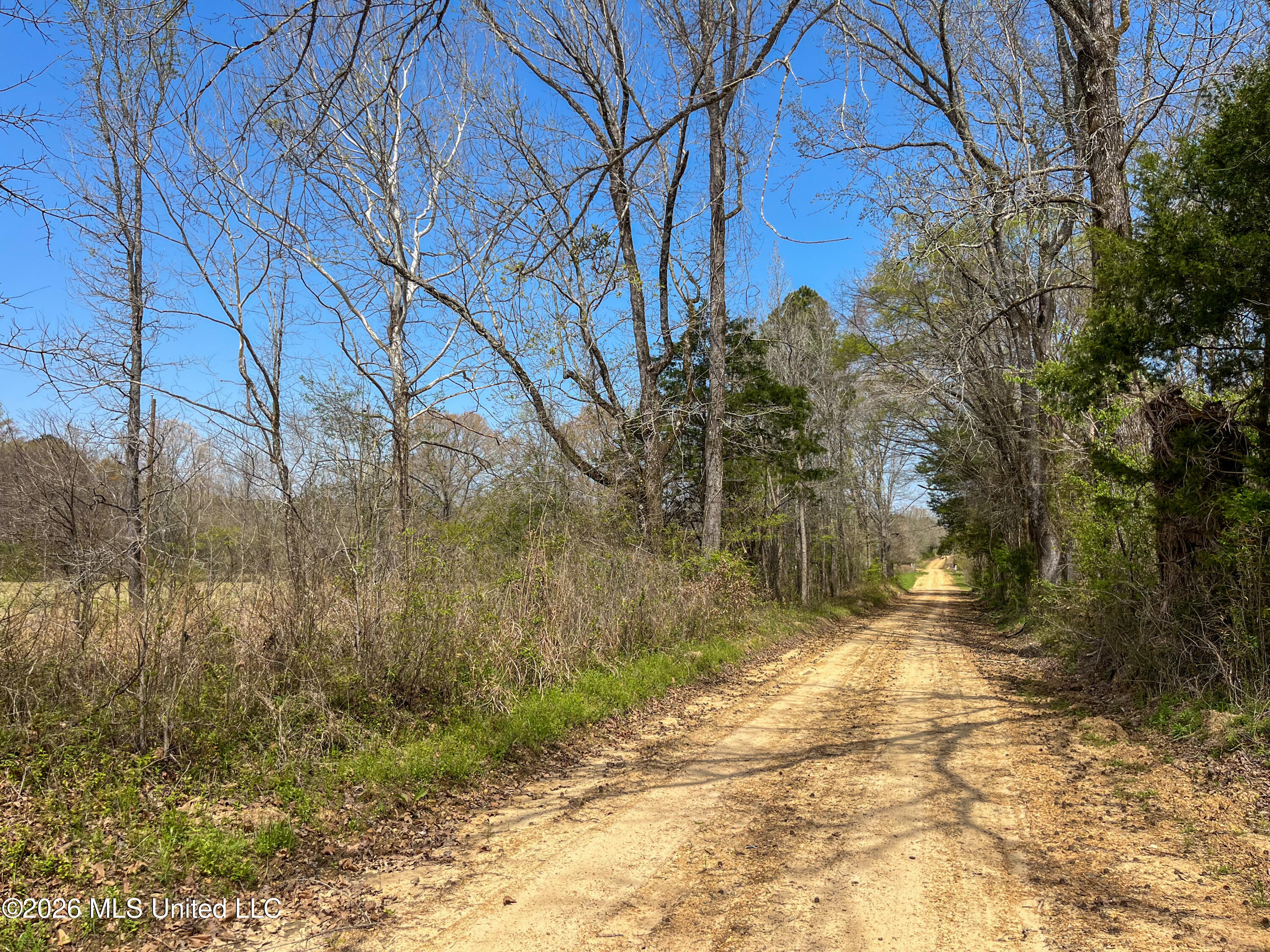 Simpson Road Property Photo 17