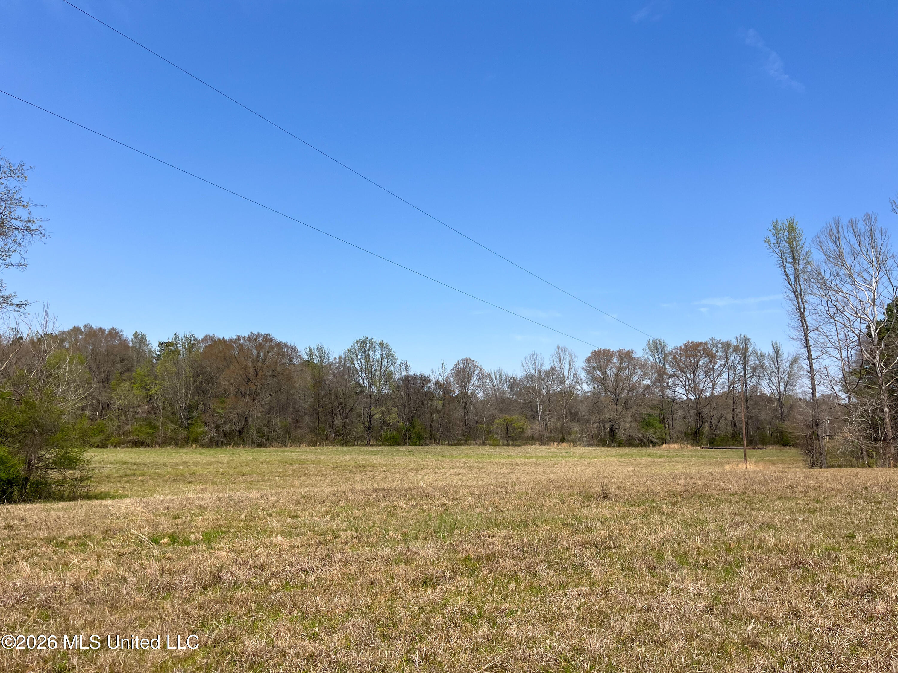 Simpson Road Property Photo 18