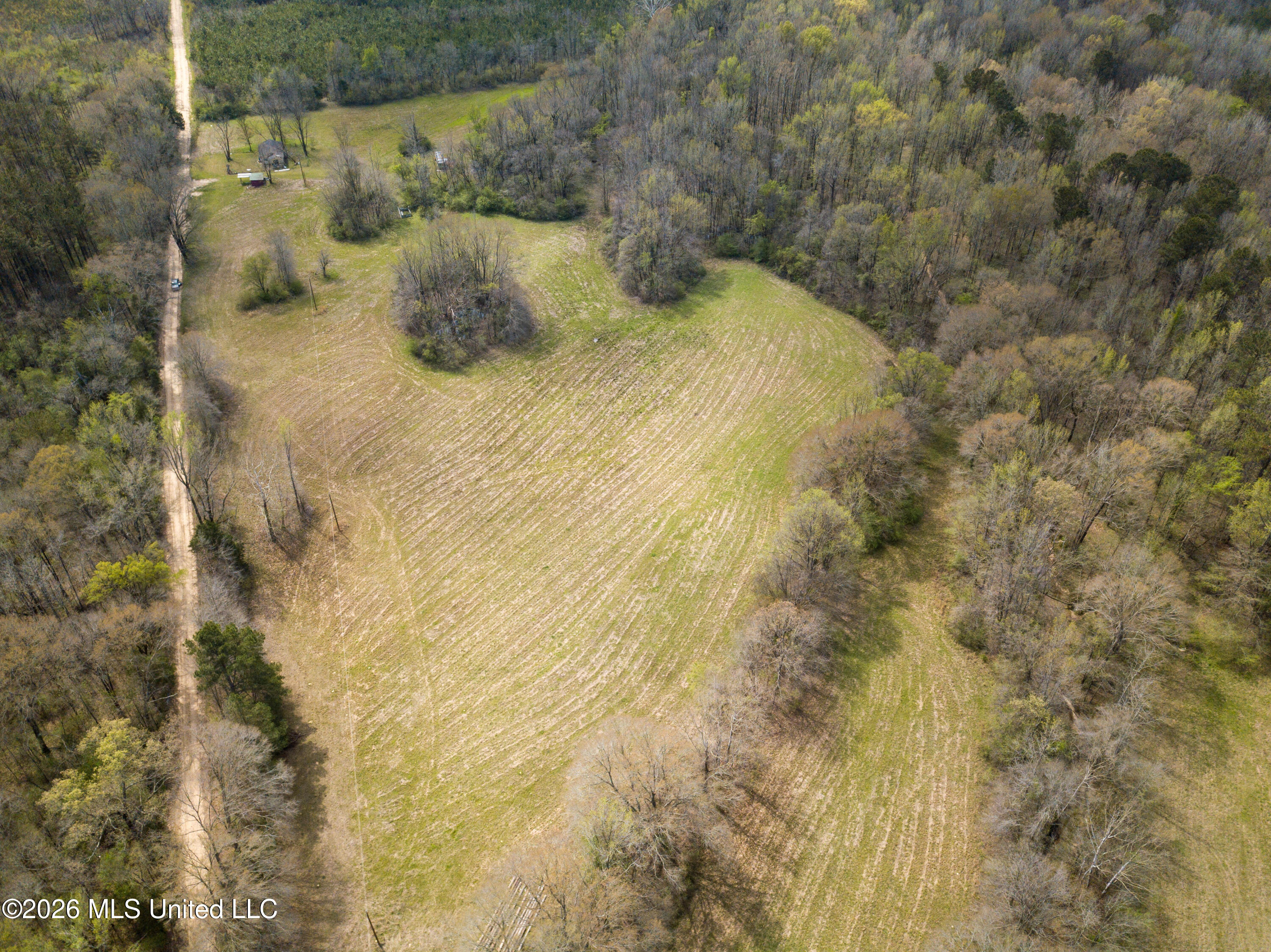 Simpson Road Property Photo 21