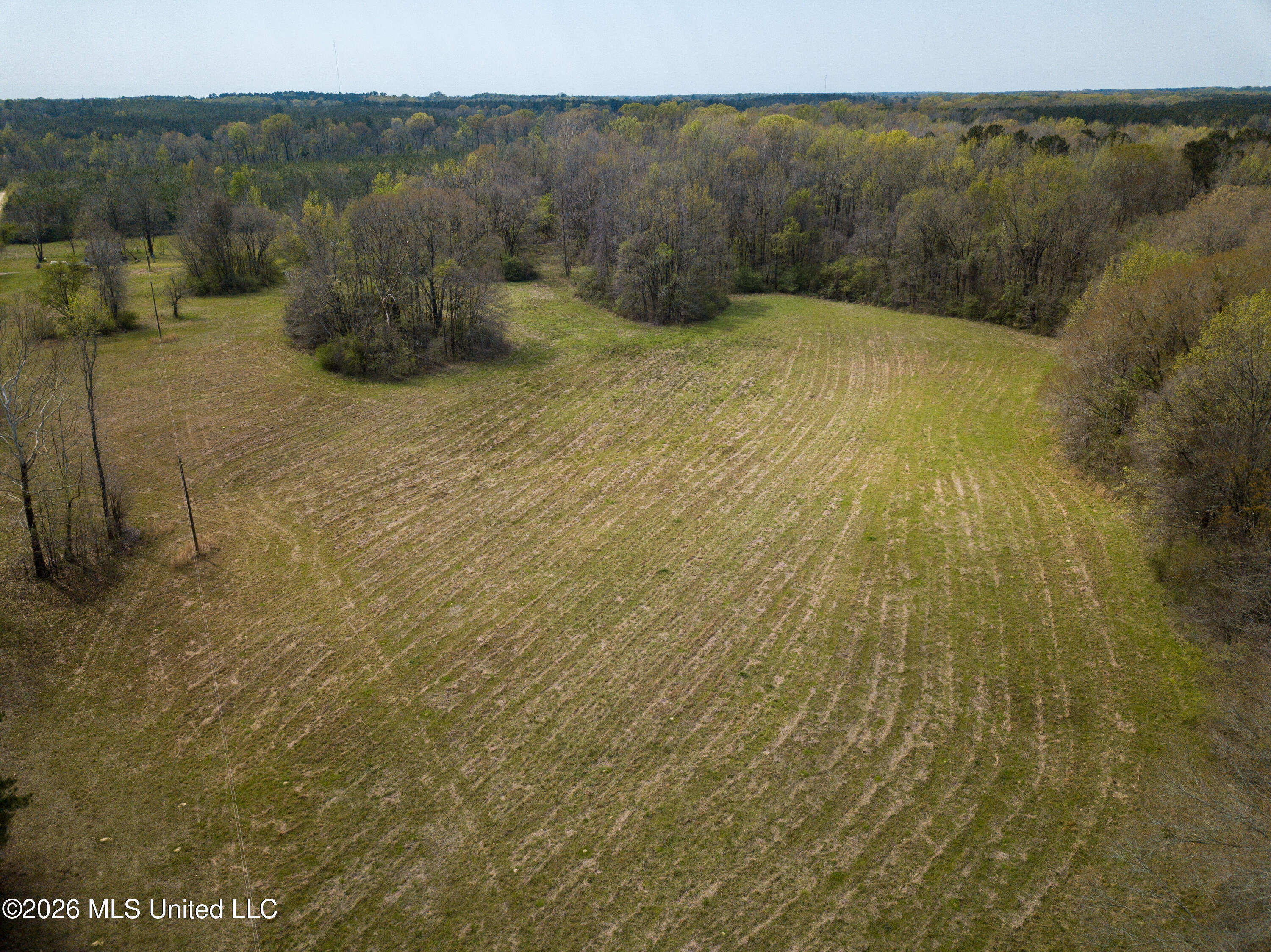Simpson Road Property Photo 22