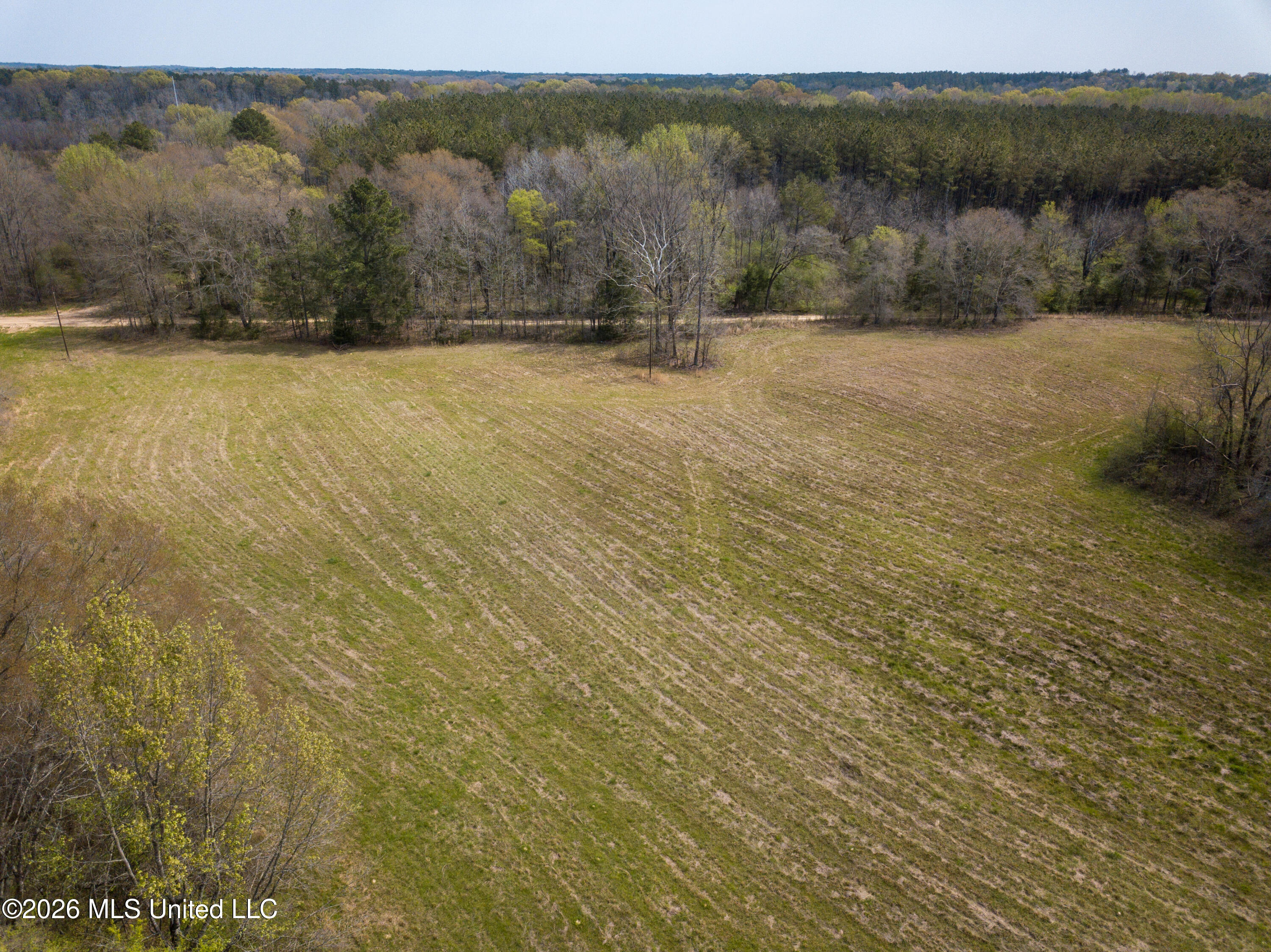 Simpson Road Property Photo 23