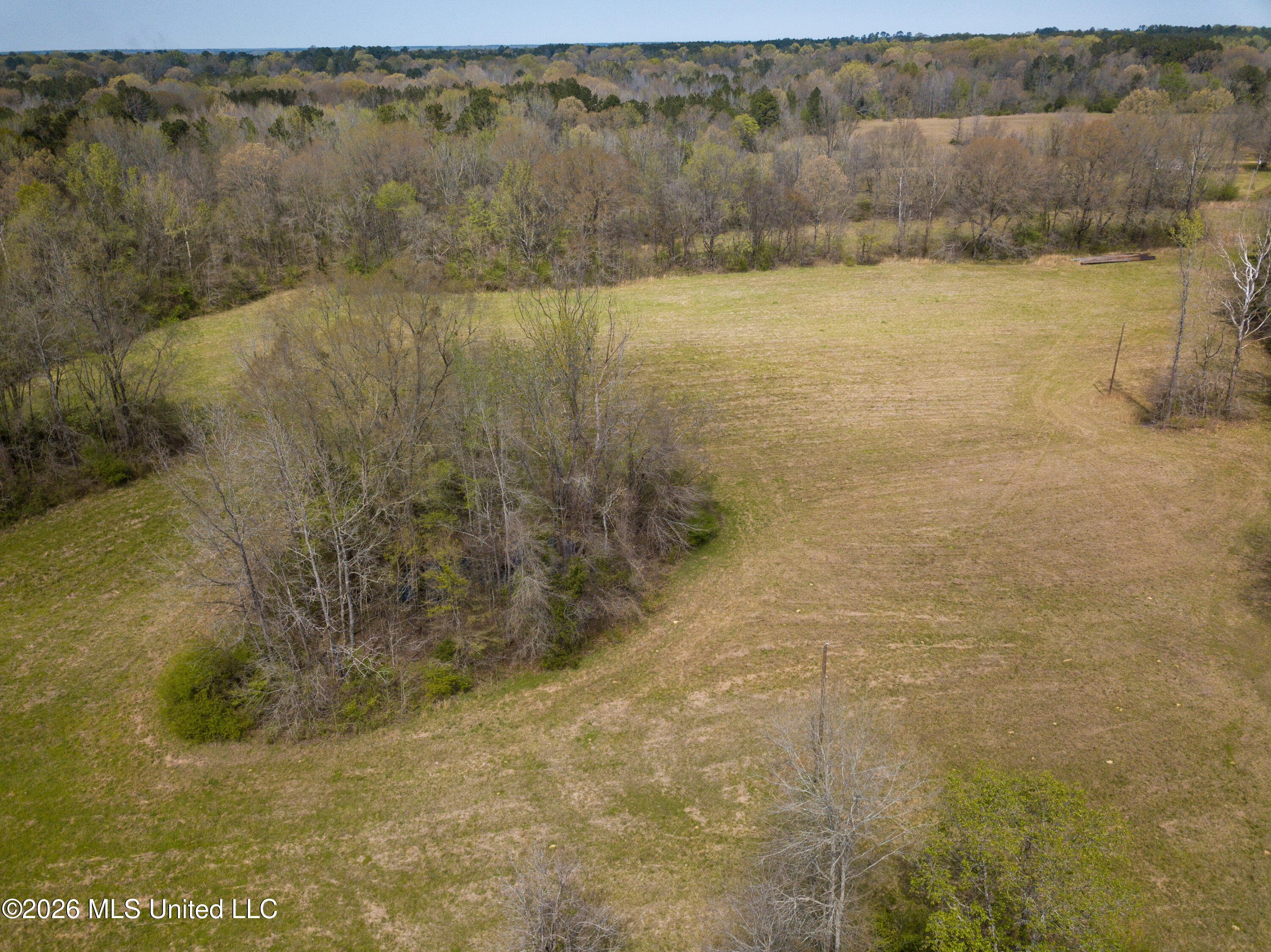 Simpson Road Property Photo 24