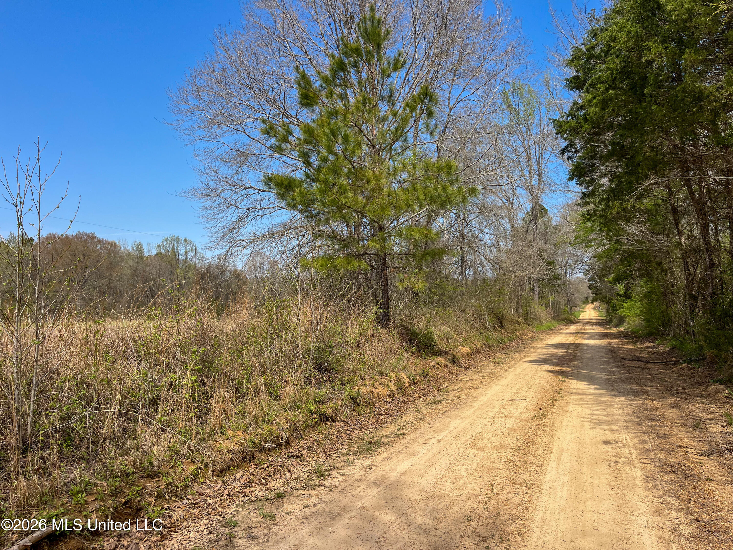 Simpson Road Property Photo 26