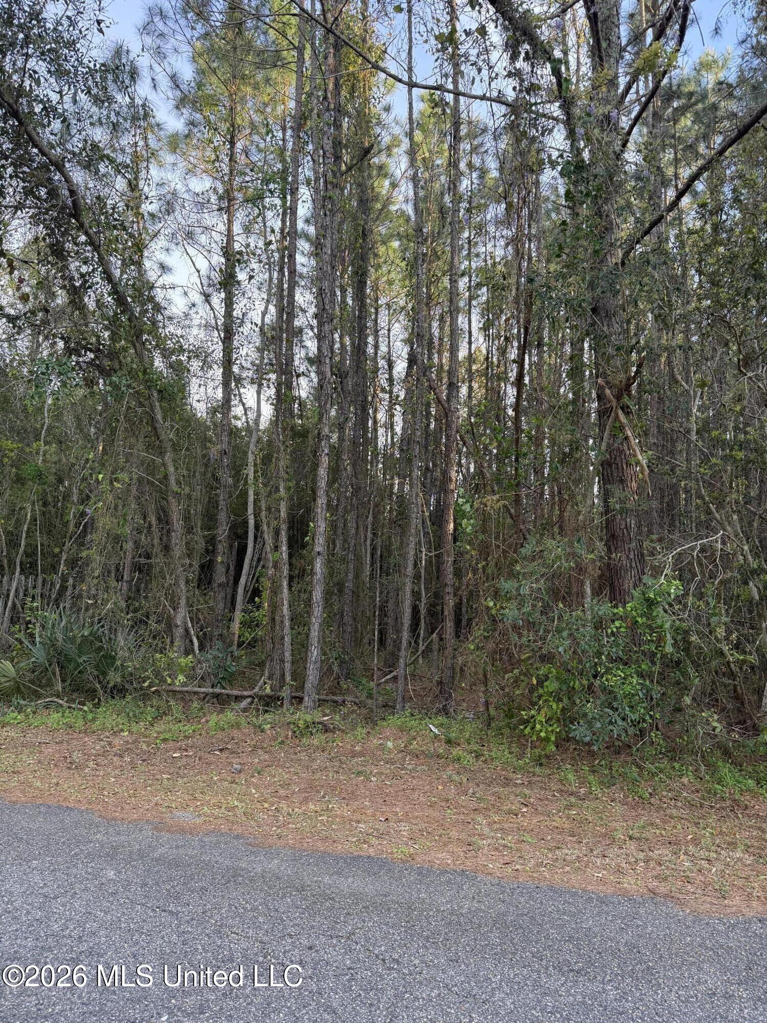Stennis Street Property Photo 3