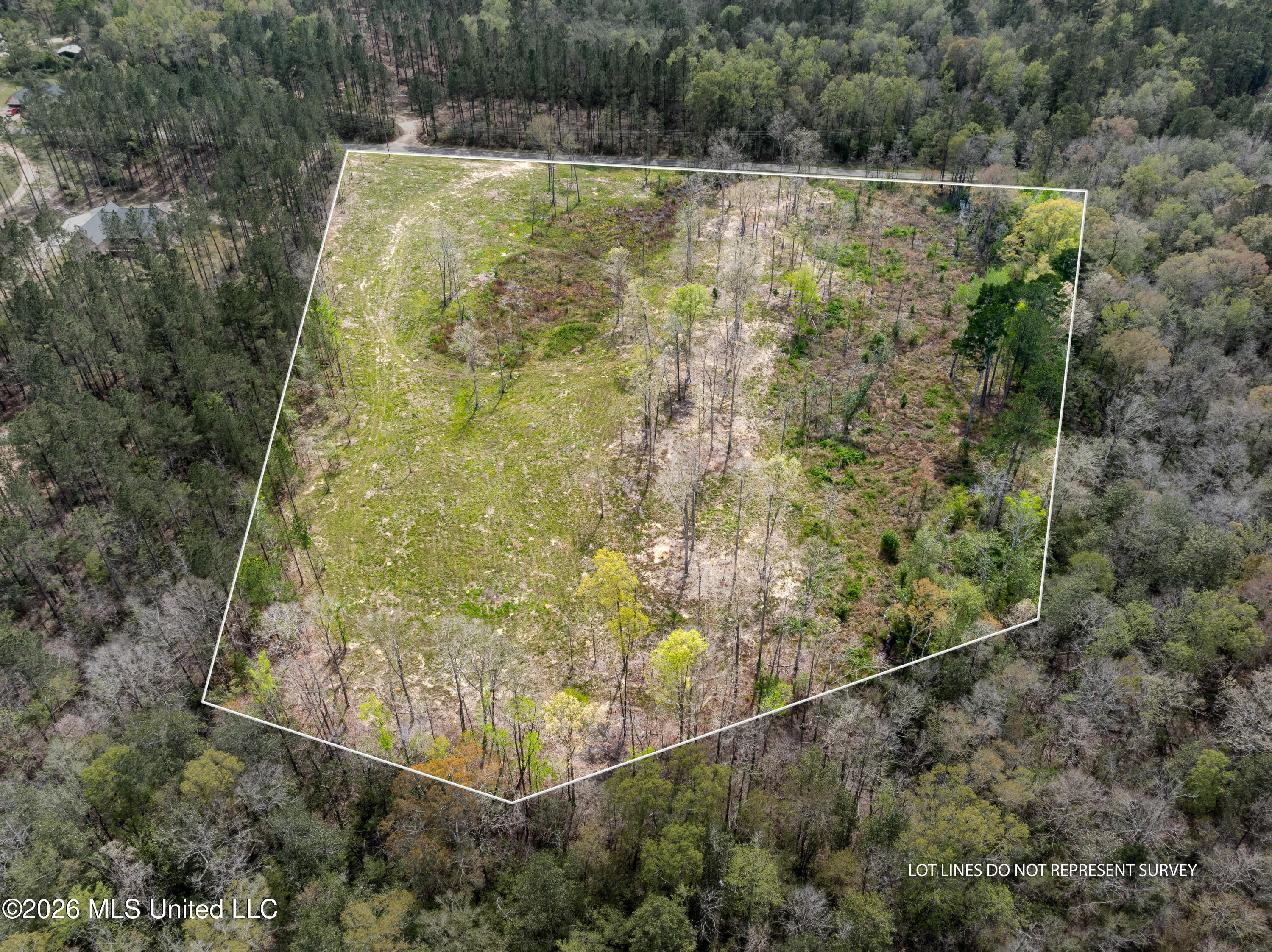 0 Scruggs Road Property Photo 1