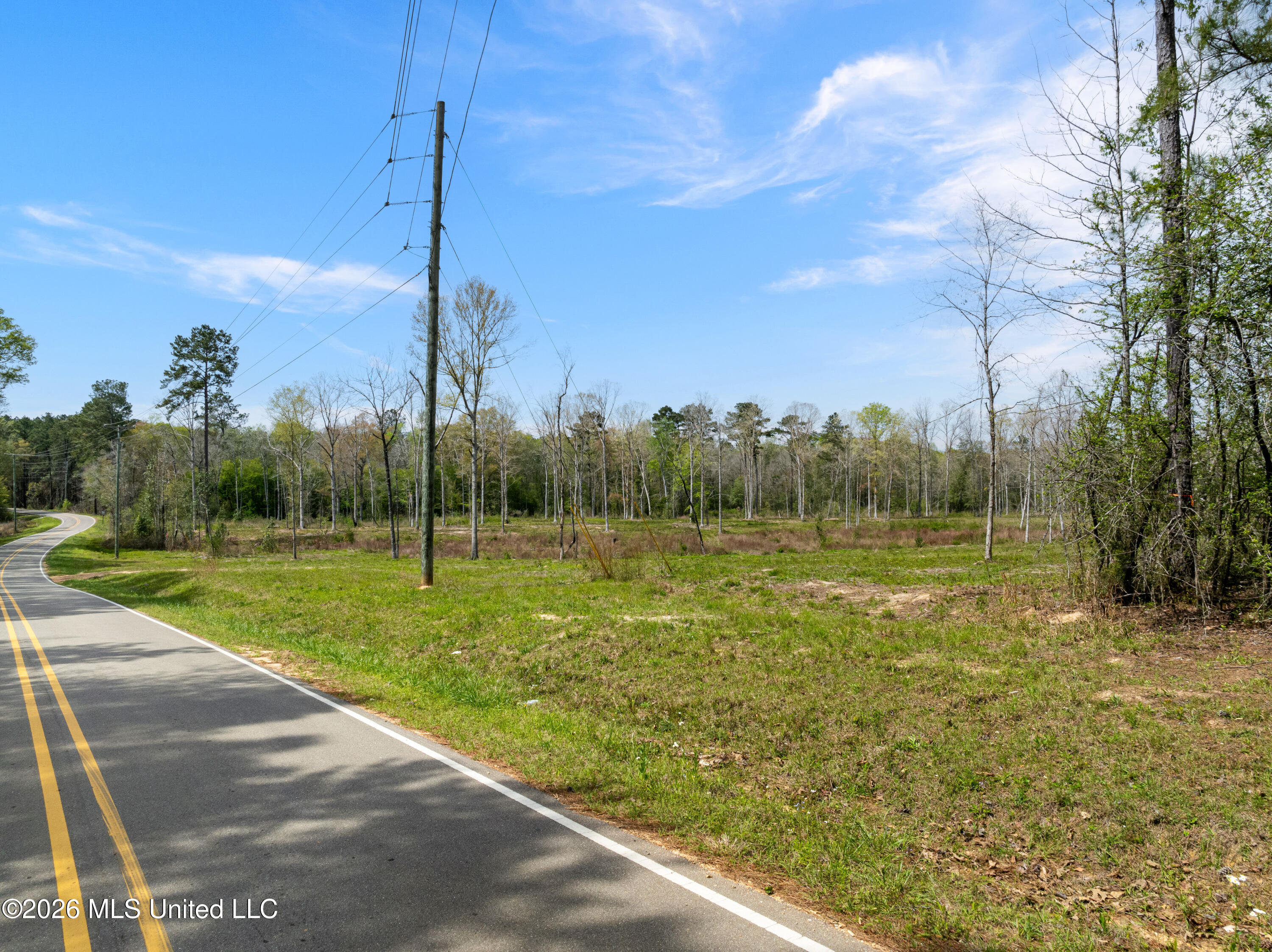 0 Scruggs Road Property Photo 2