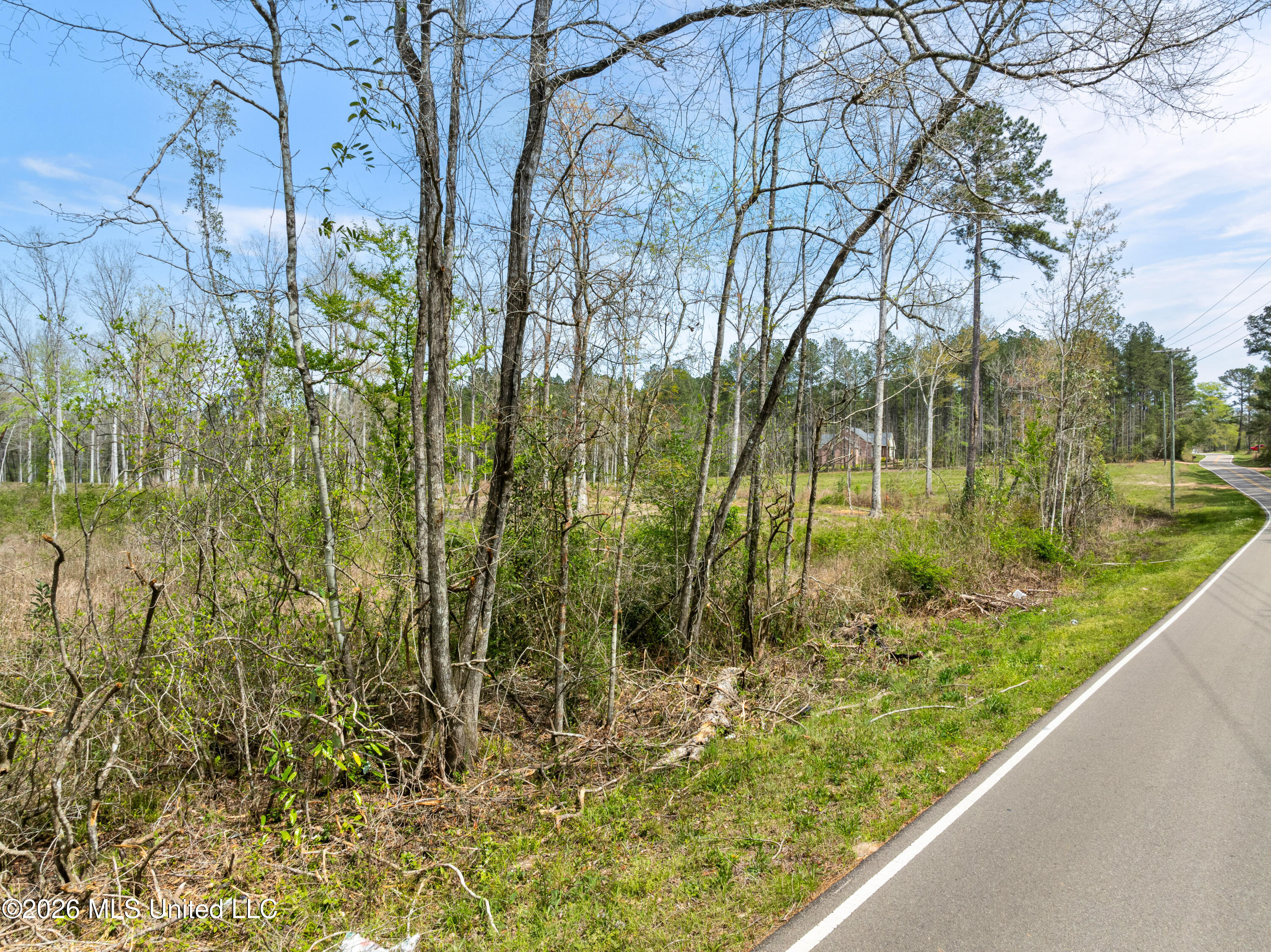 0 Scruggs Road Property Photo 3