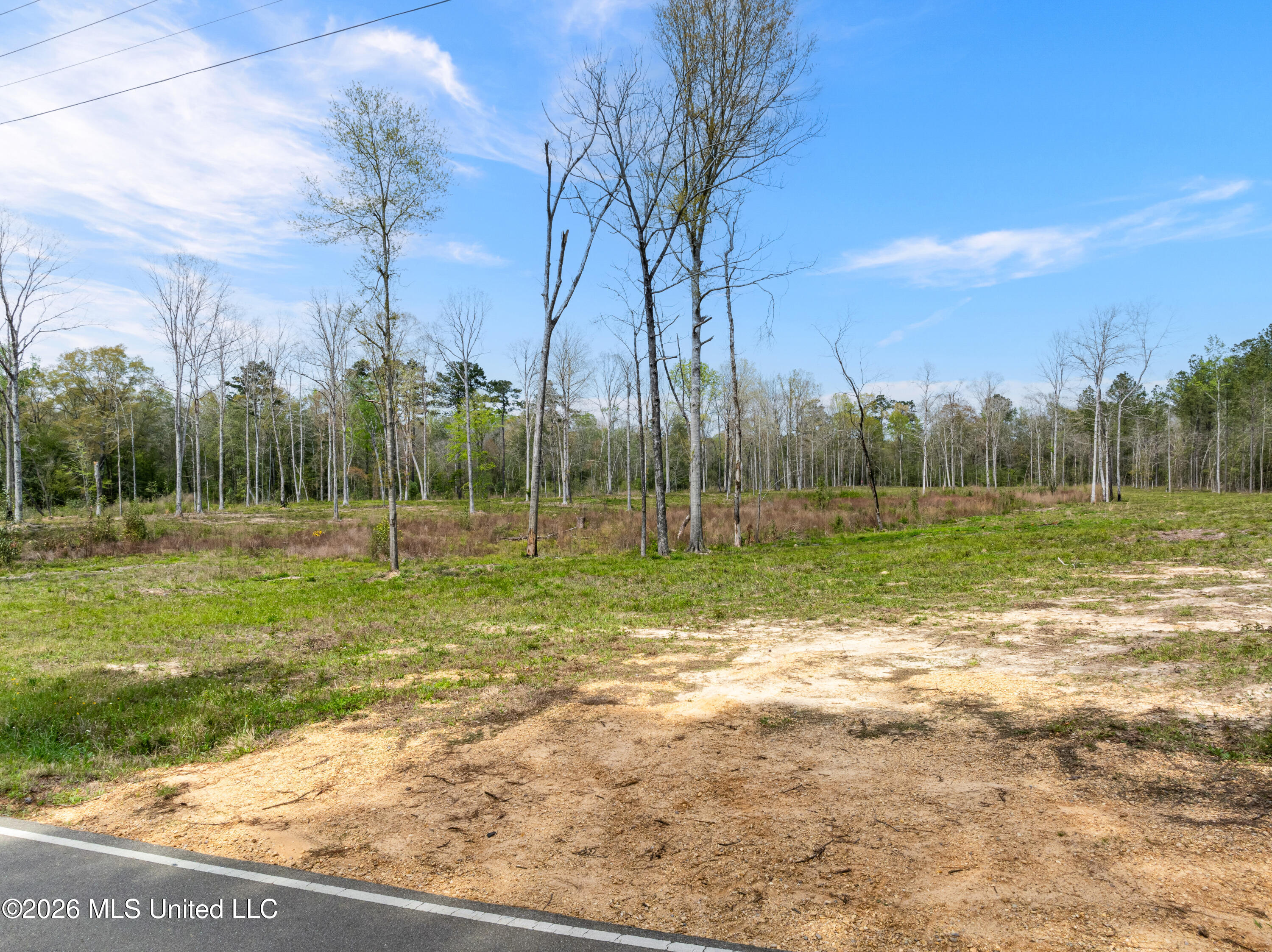 0 Scruggs Road Property Photo 4