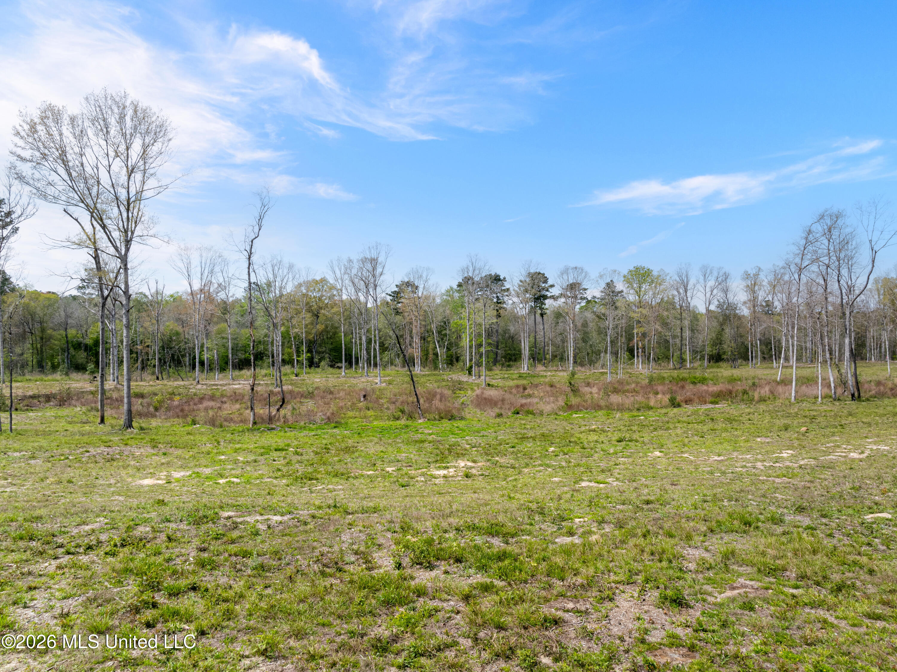 0 Scruggs Road Property Photo 5
