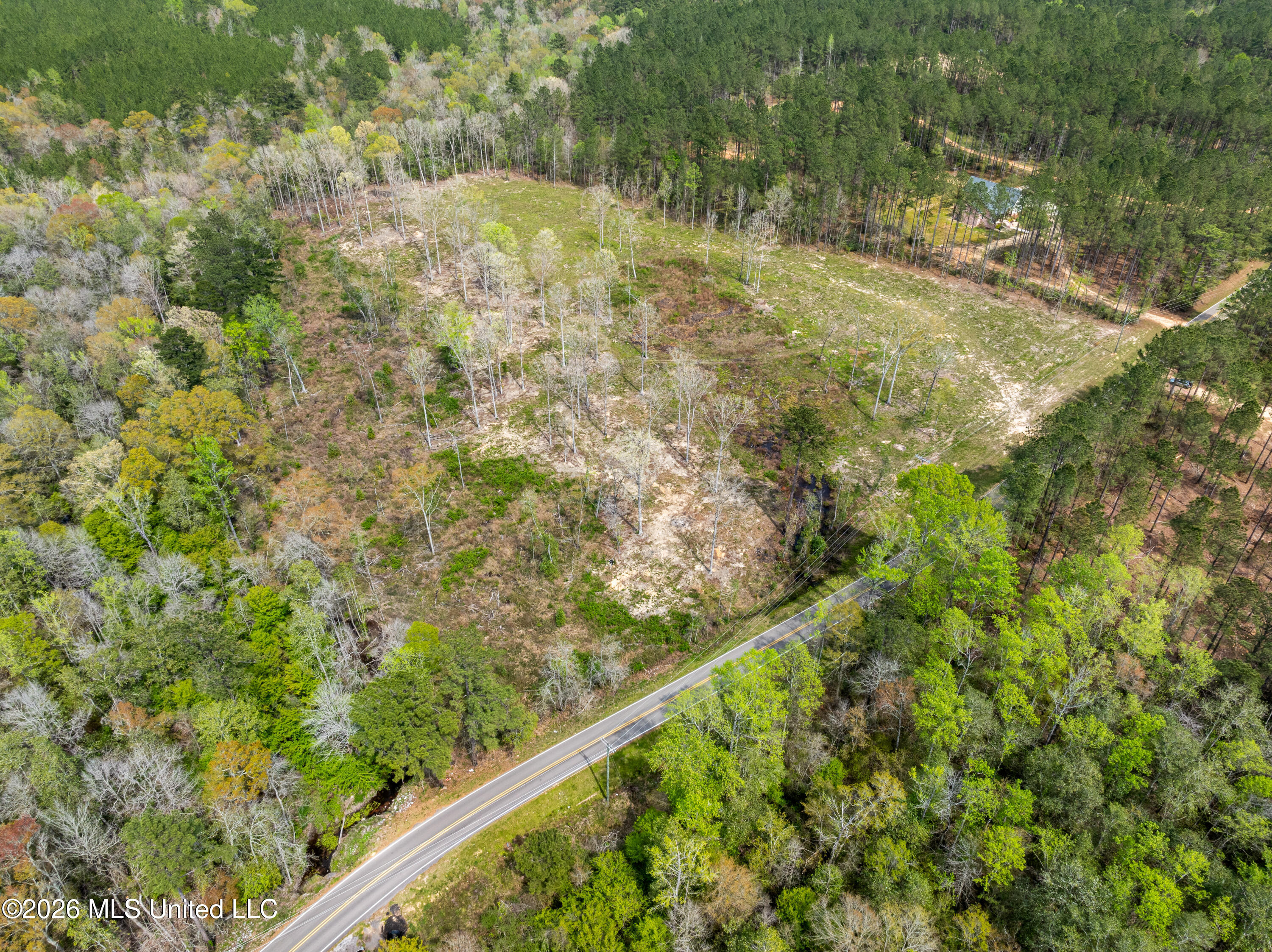 0 Scruggs Road Property Photo 9