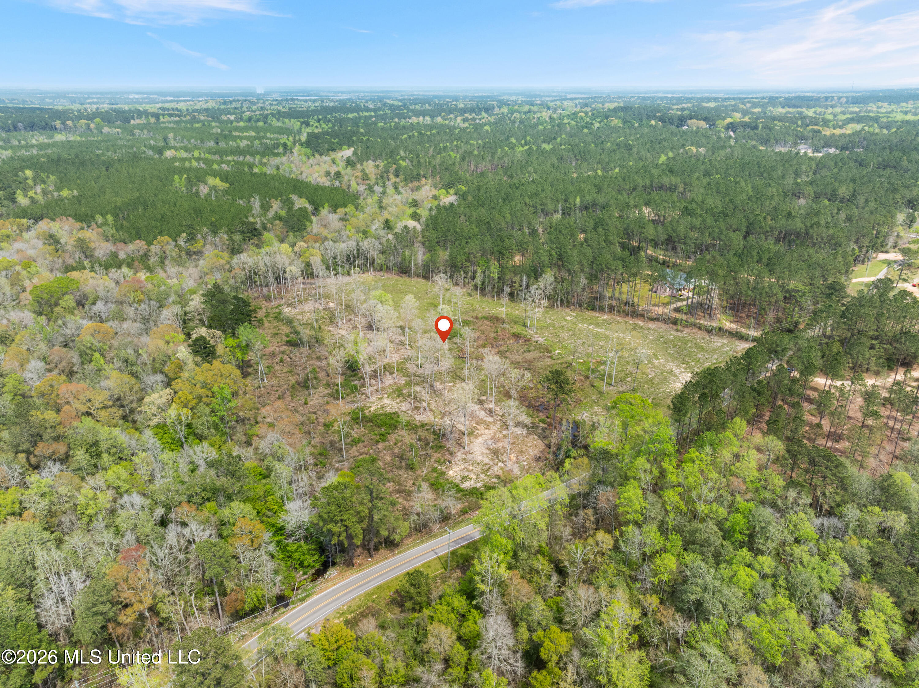 0 Scruggs Road Property Photo 10