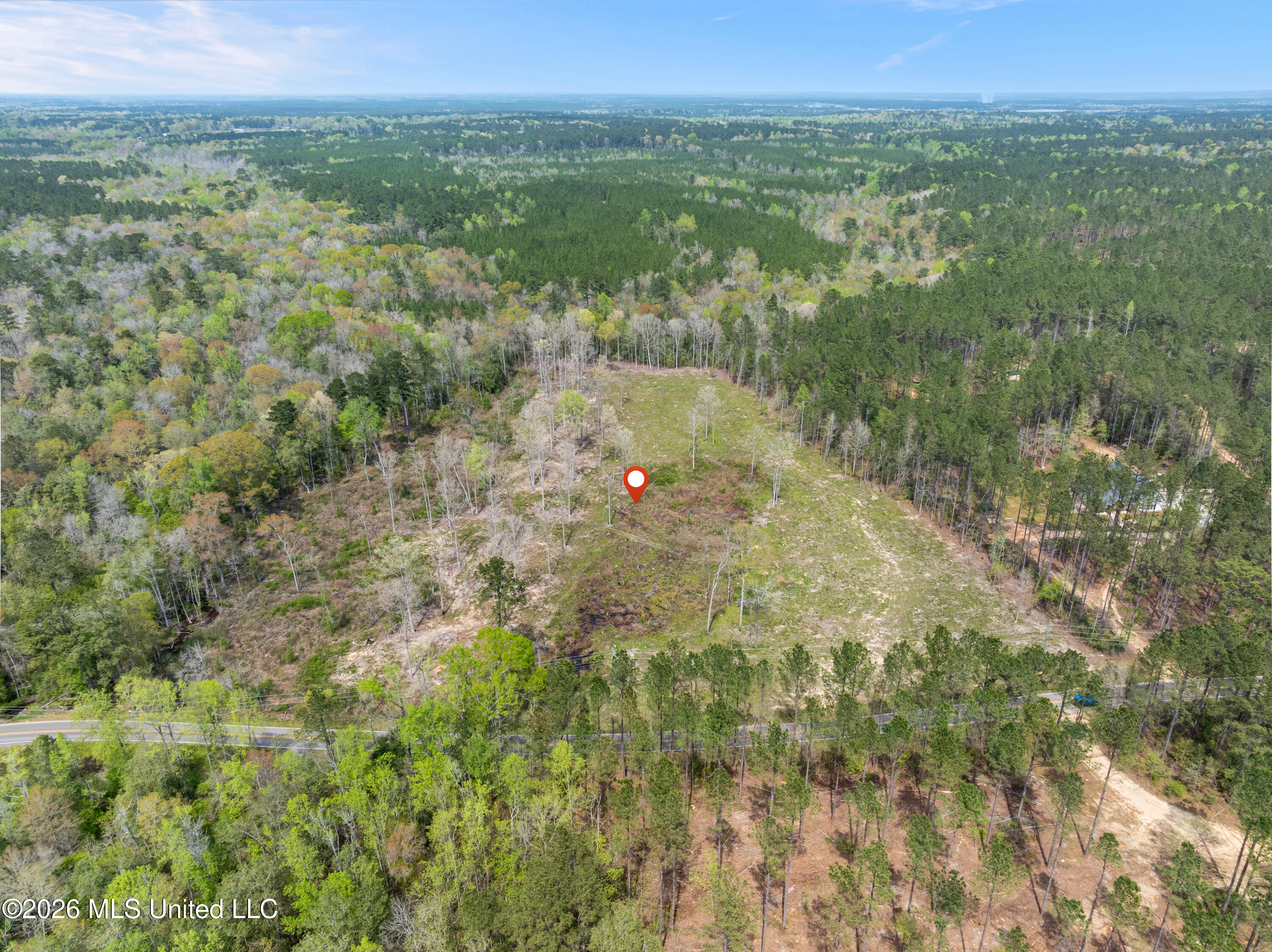 0 Scruggs Road Property Photo 11