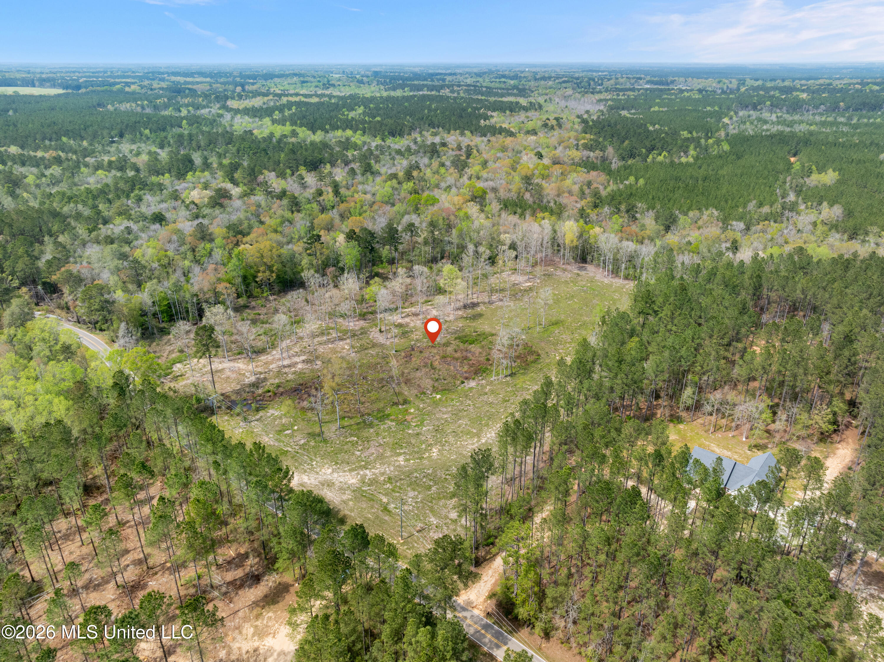 0 Scruggs Road Property Photo 12