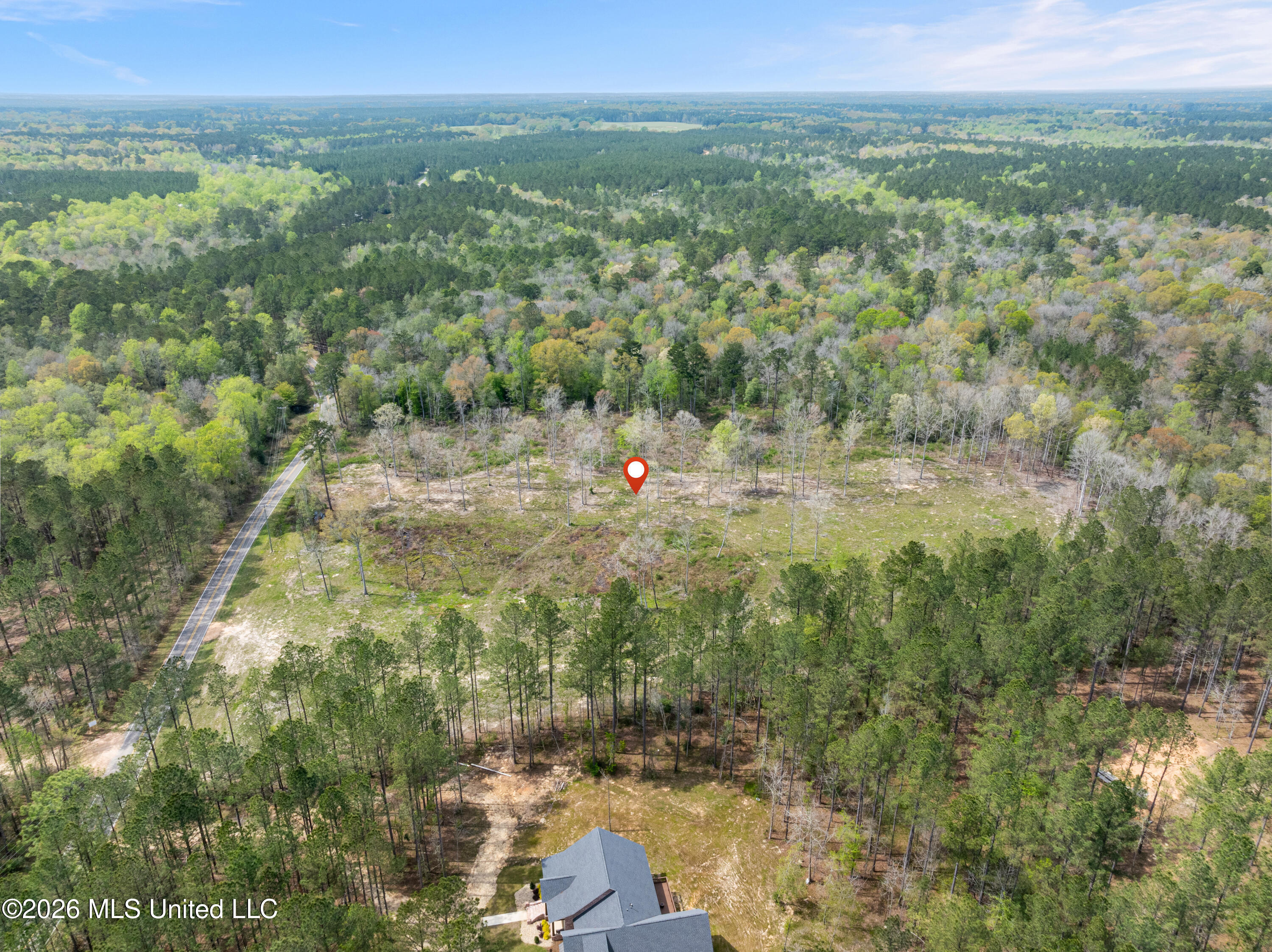 0 Scruggs Road Property Photo 13