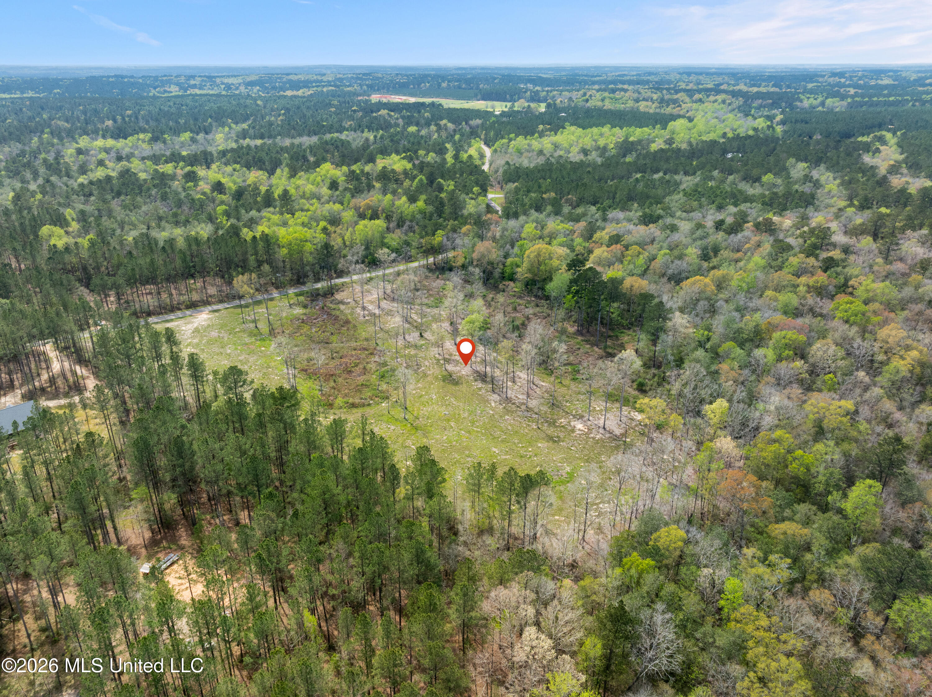 0 Scruggs Road Property Photo 14