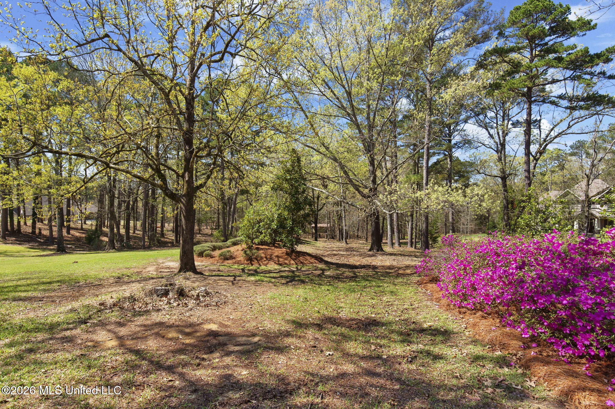 6145 Wirtz Road Property Photo 51