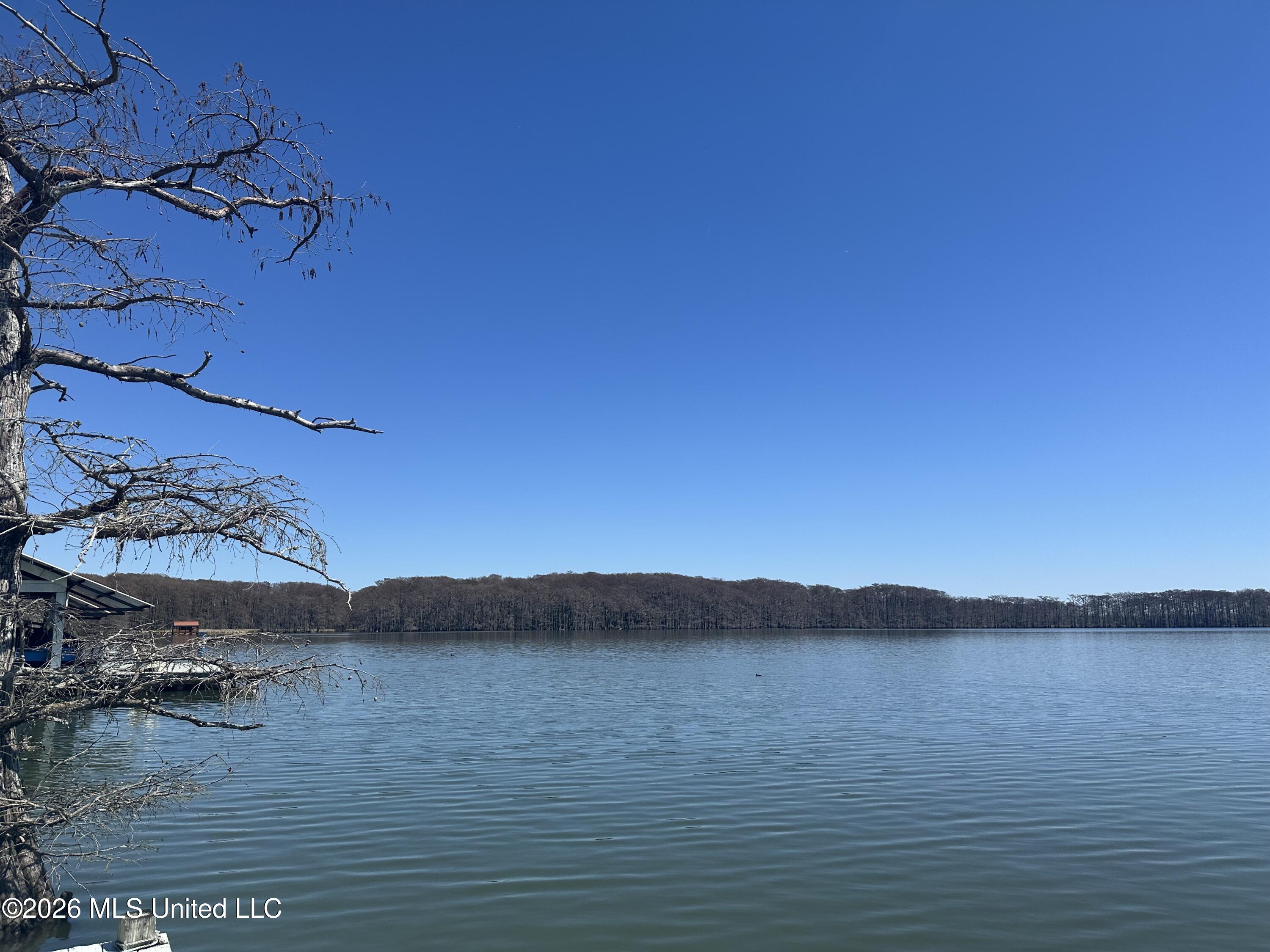 6631 Hwy 568 Property Photo 9
