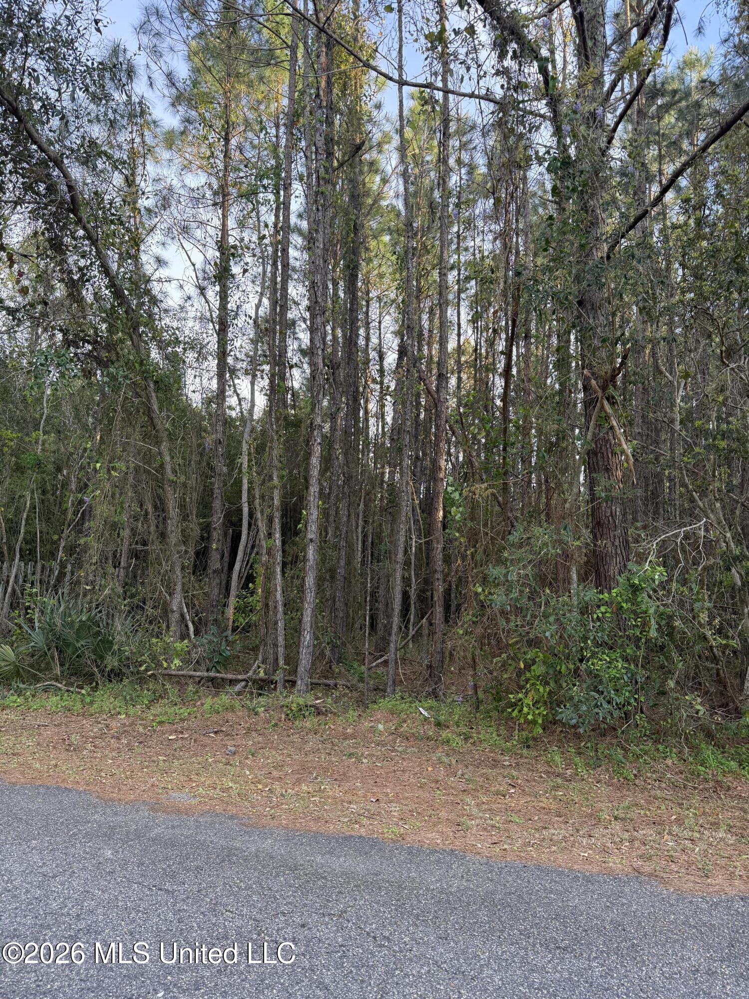 Stennis Street Property Photo 2