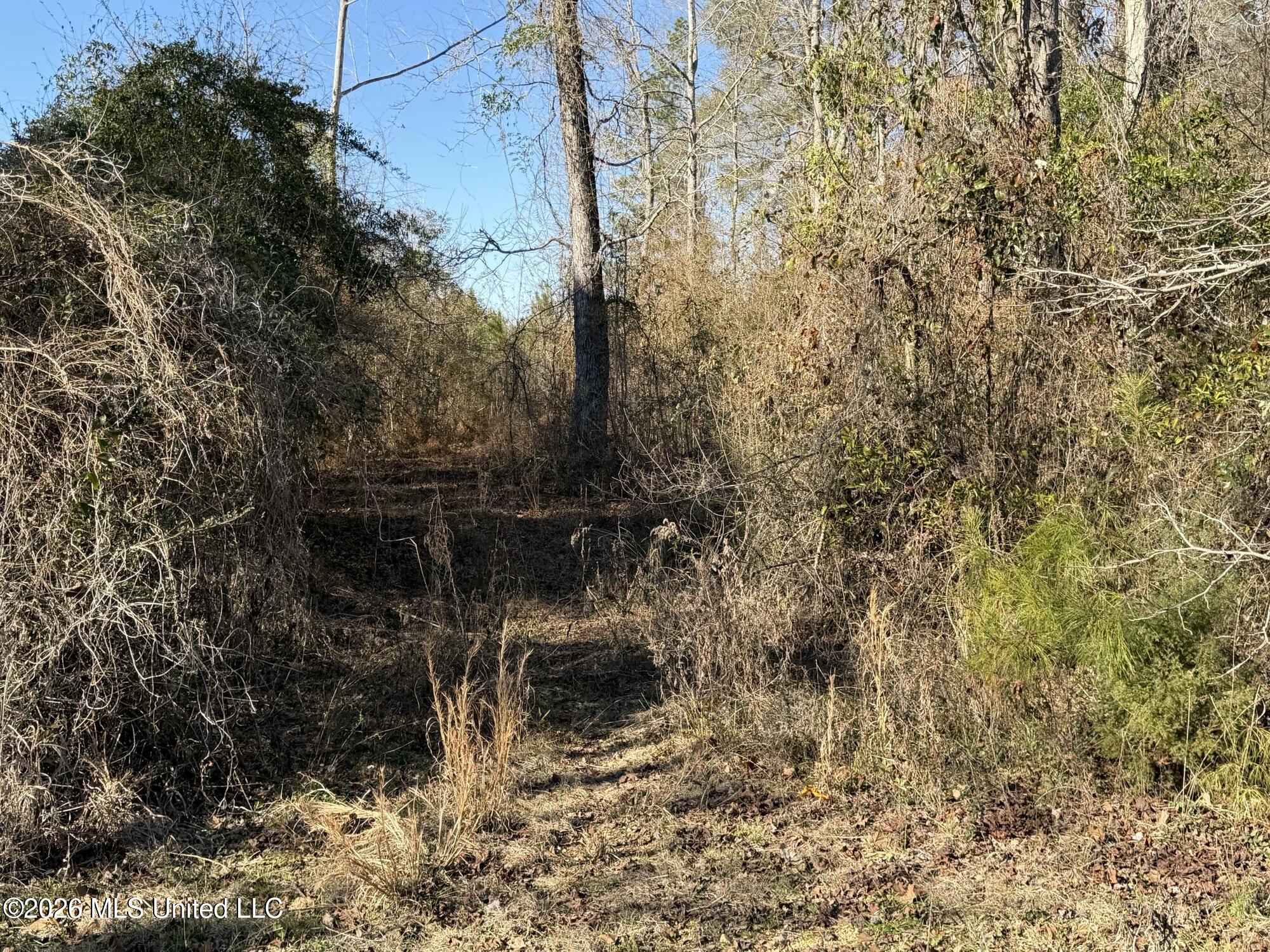 0 Delancey Road Property Photo 2