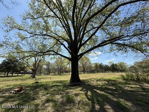 1332 Walker Road Property Photo 18