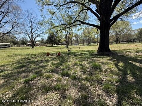 1332 Walker Road Property Photo 23