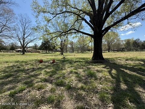 1332 Walker Road Property Photo 45