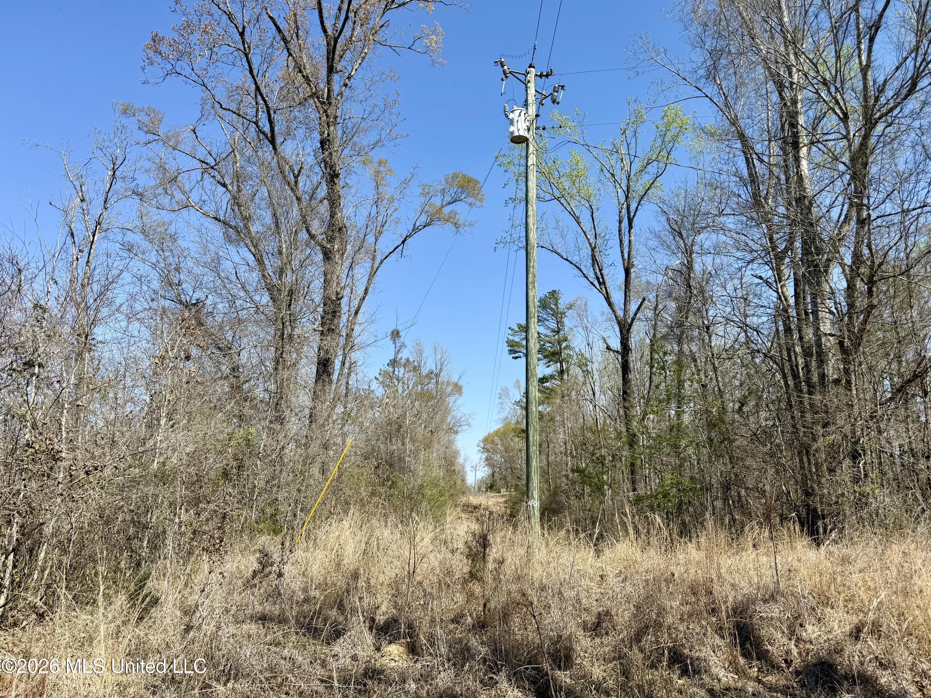 Brozville Road Property Photo 6