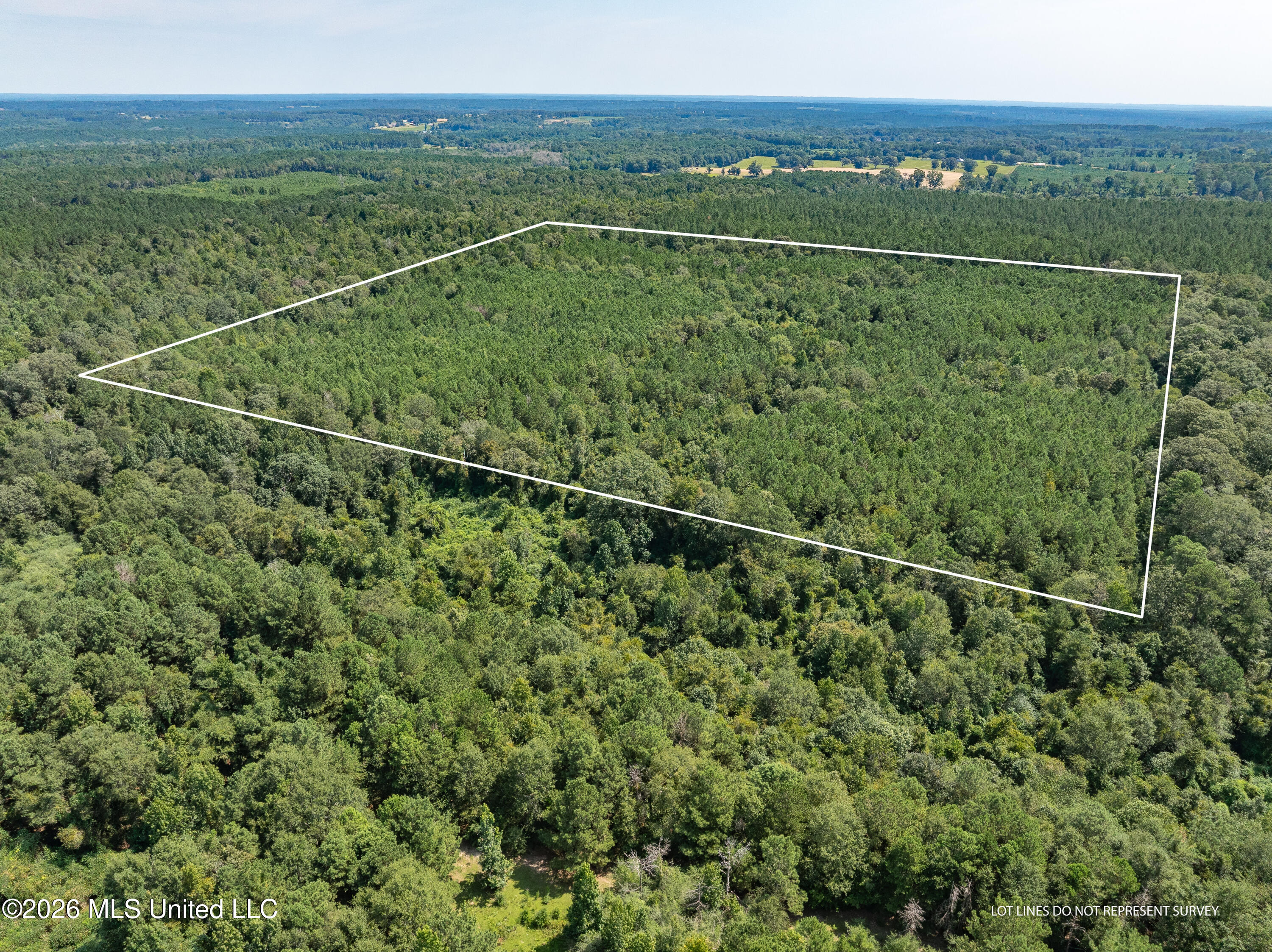 40 Acres Hwy 588 Property Photo 3