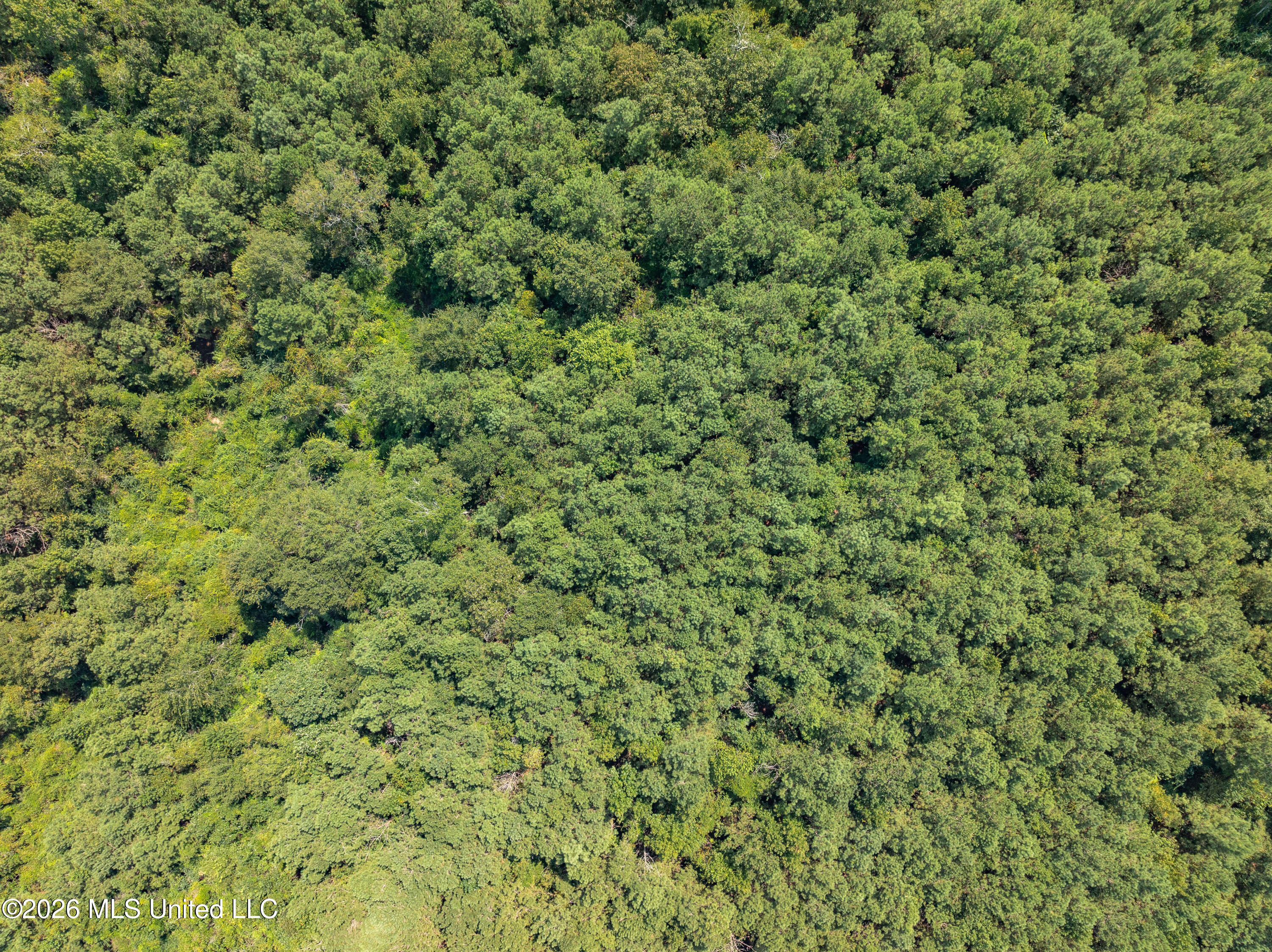 40 Acres Hwy 588 Property Photo 4