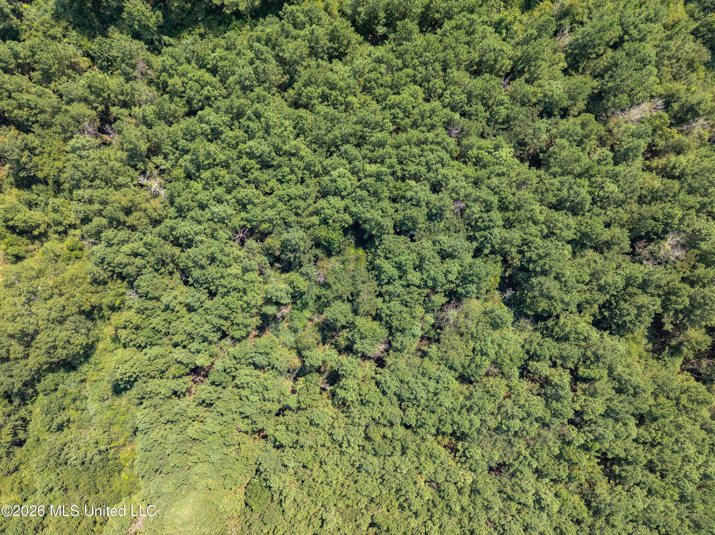 40 Acres Hwy 588 Property Photo 5